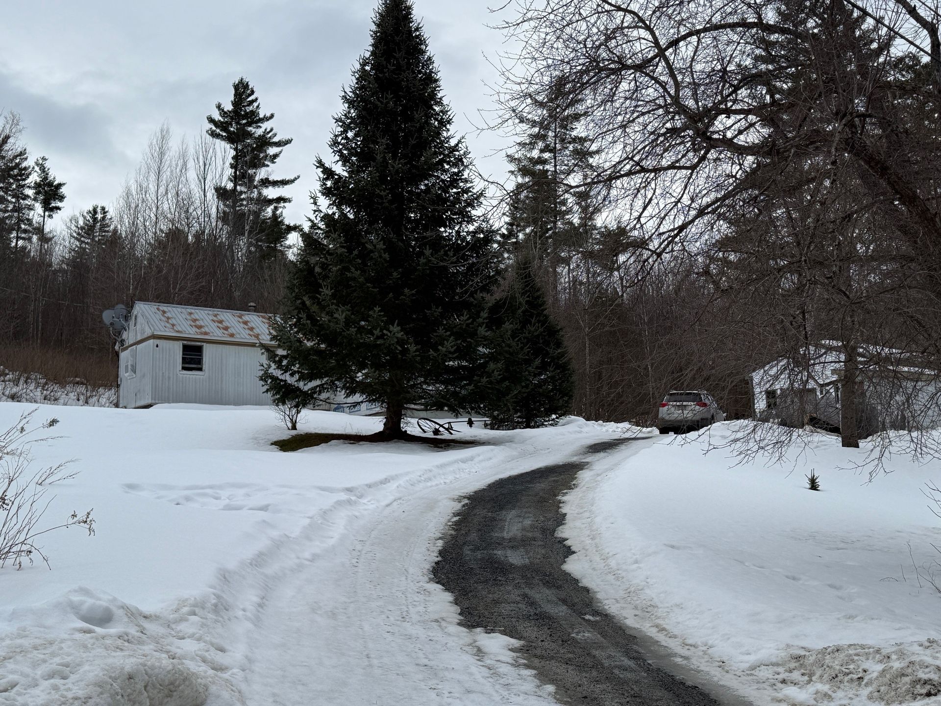 A snow-covered driveway curves toward a house and a large evergreen tree under a cloudy sky in a rural setting.