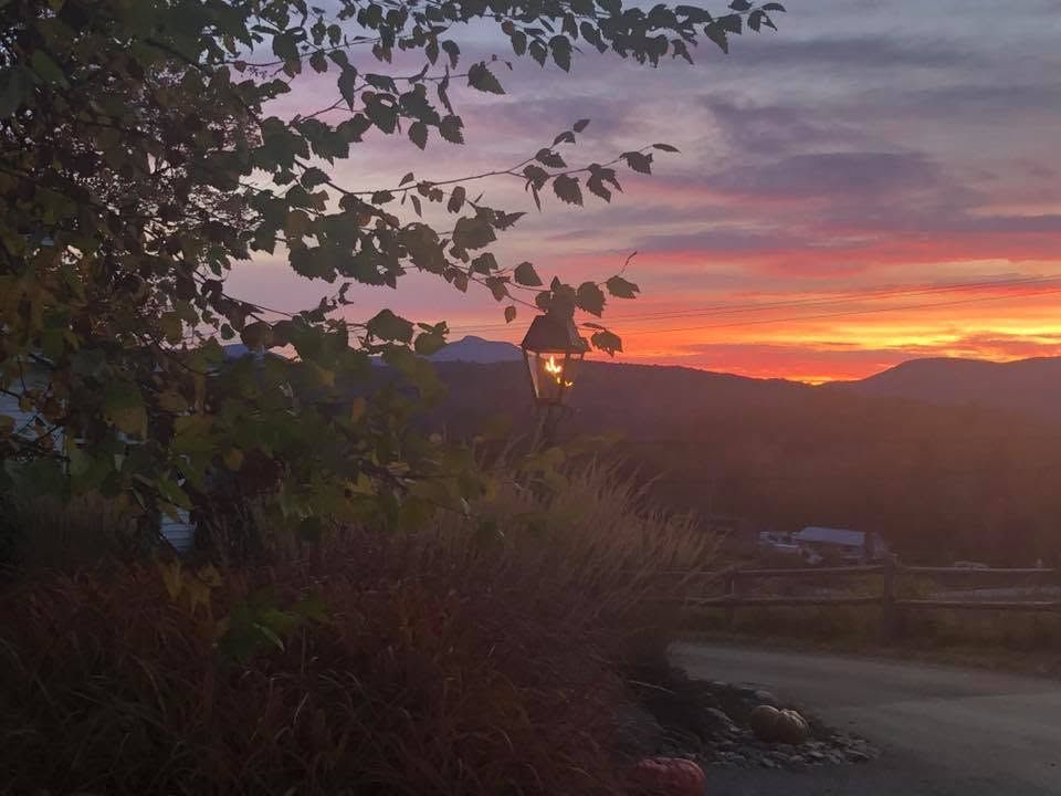 Sunset over dark hills with orange and pink sky, framed by tree branches and roadside foliage