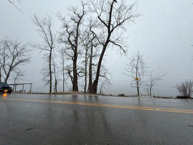 Road with bare trees, snow falling, and a distant body of water under a gray sky.