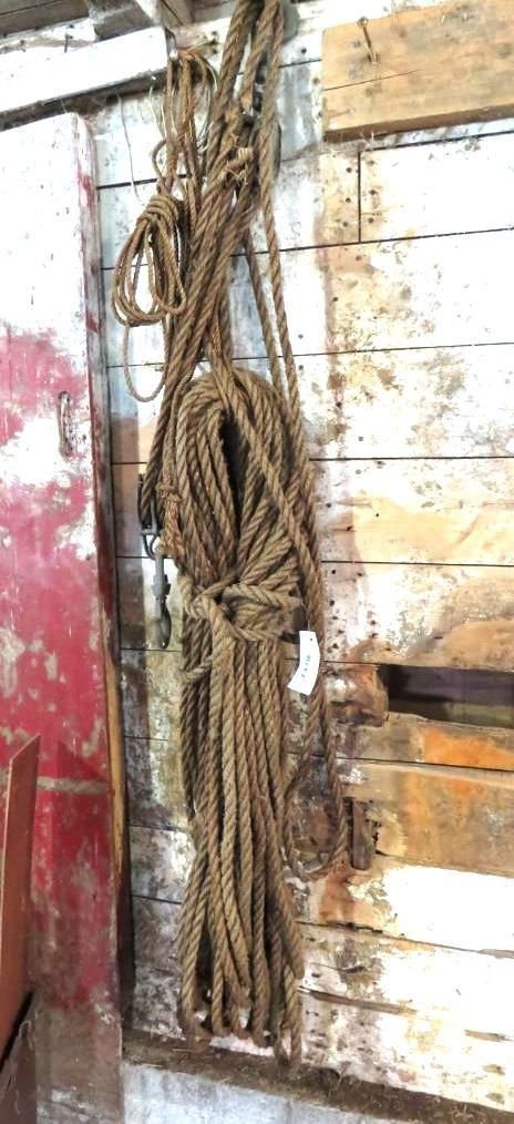 Coiled rope hangs on a wooden wall, beside a red surface.