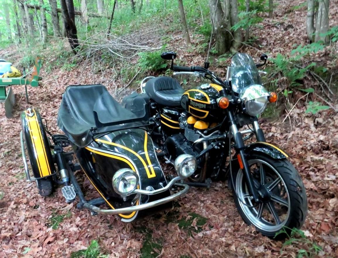 Black motorcycle with yellow accents and sidecar, parked in wooded area.