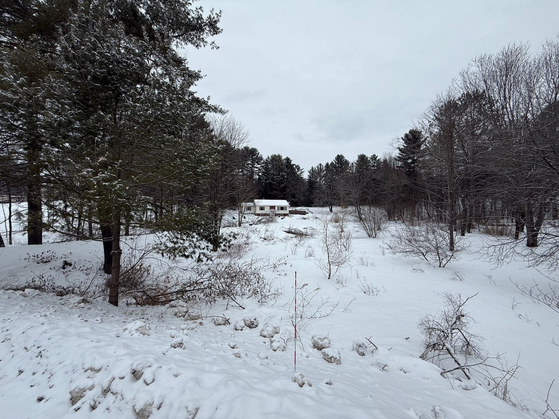 Snowy landscape with small building visible amid trees. Overcast sky.