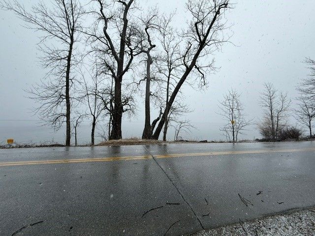 Wet road with bare trees under overcast sky.