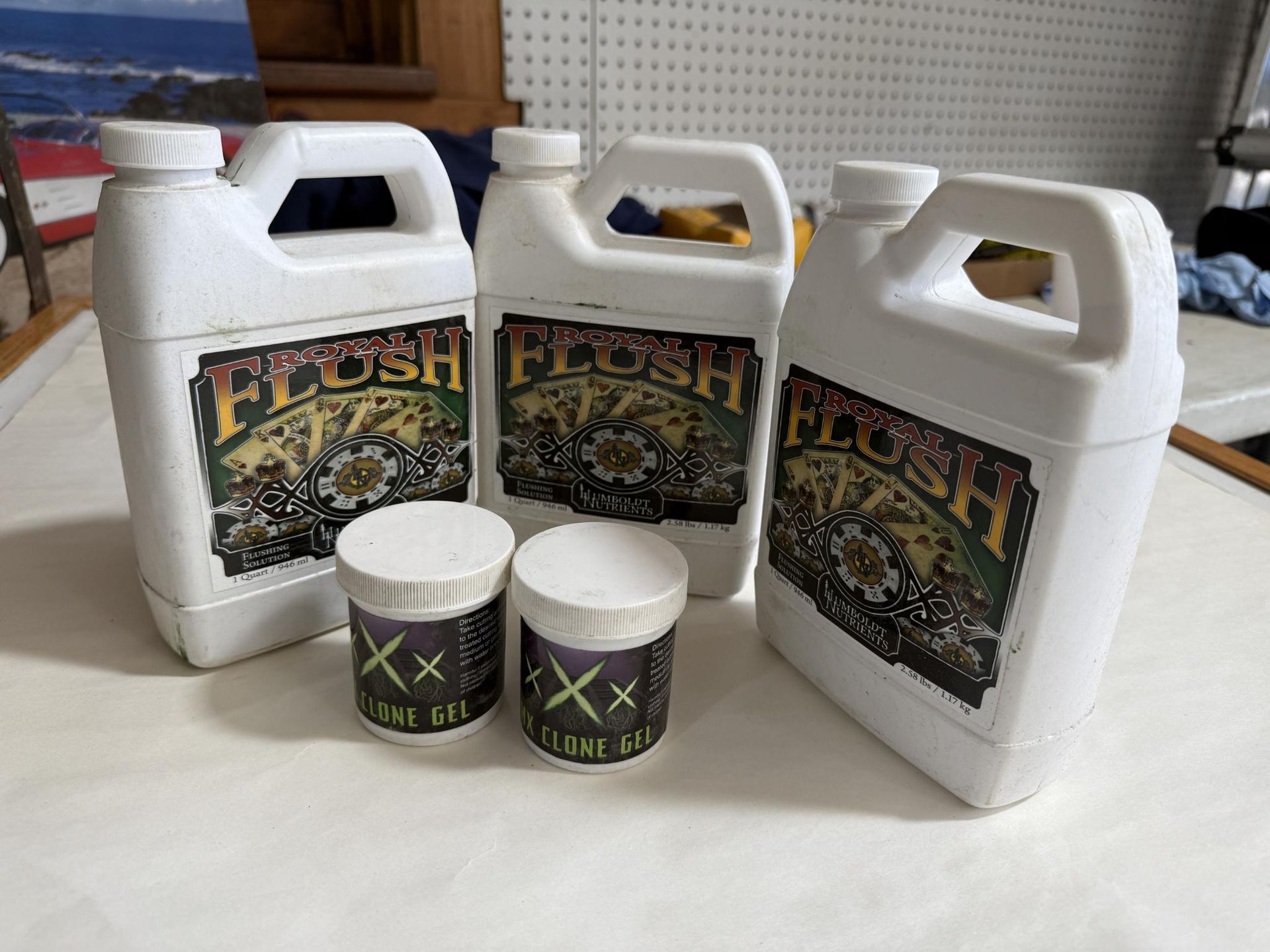 Three white plastic FLUSH jugs and two small XX root gel jars sit on a white surface.