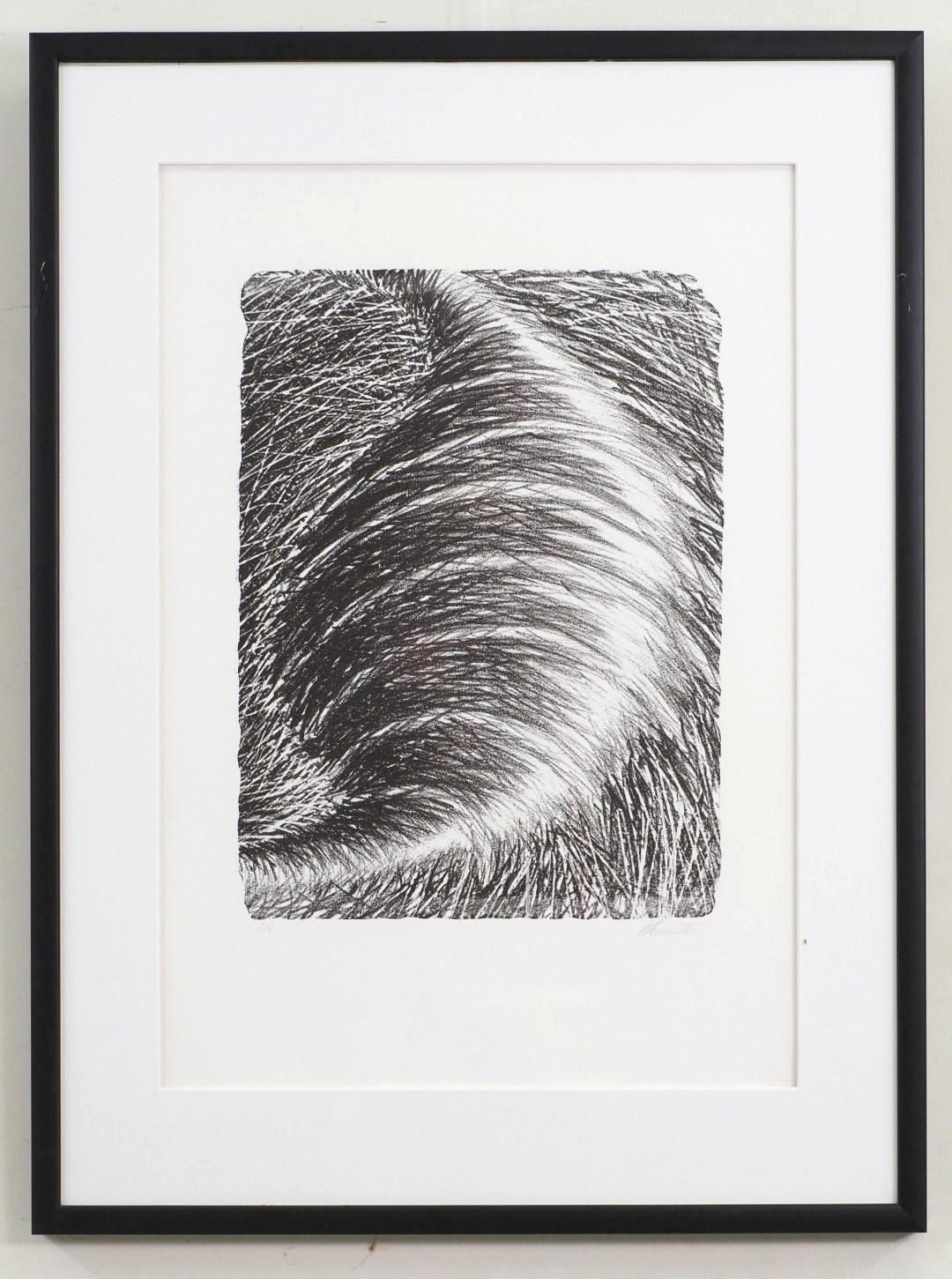 Black and white artwork of curved lines, framed in black with a white mat.