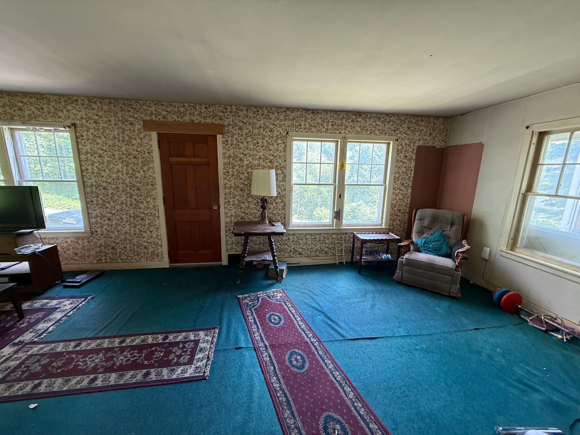 Empty living room with teal carpet, patterned wallpaper, windows, armchair, lamp, and TV.