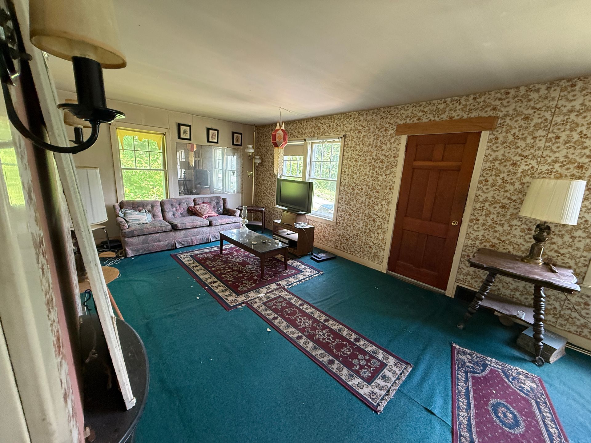 Spacious living room with teal carpet, patterned rugs, sofa, TV, fireplace, and wood-paneled door.