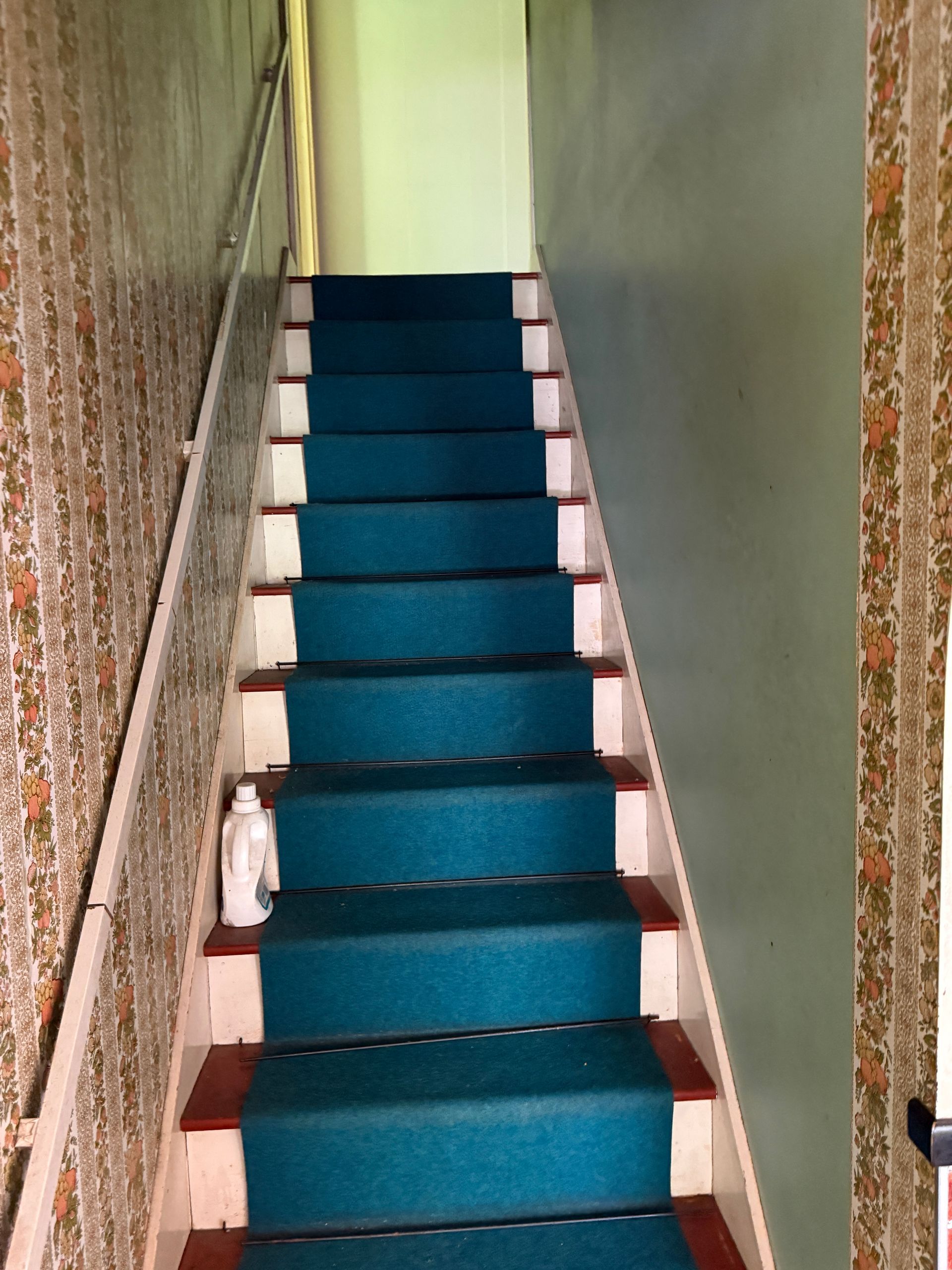 Narrow indoor staircase with blue carpeted steps and patterned walls on both sides
