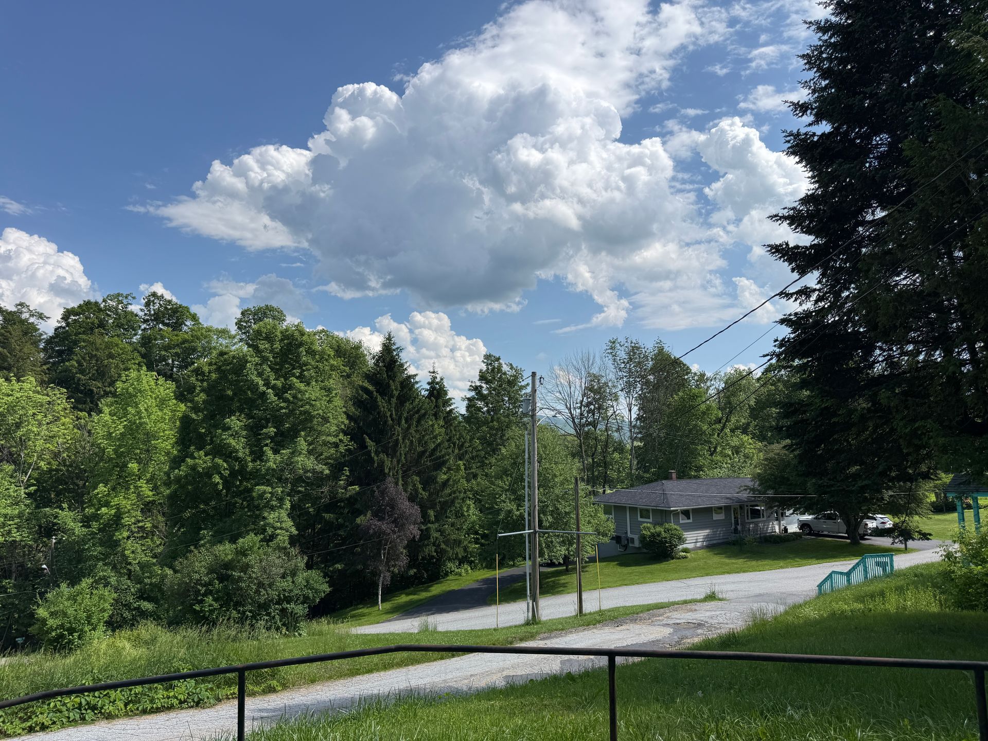 Quiet suburban road beside lush trees under a bright blue sky with large white clouds