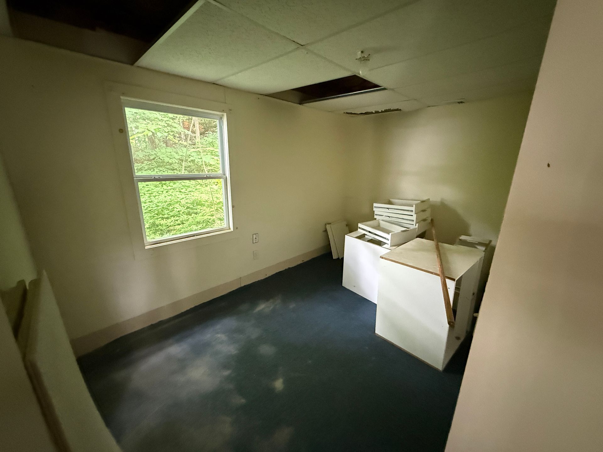 Small empty bedroom with green walls, a window, dark carpet