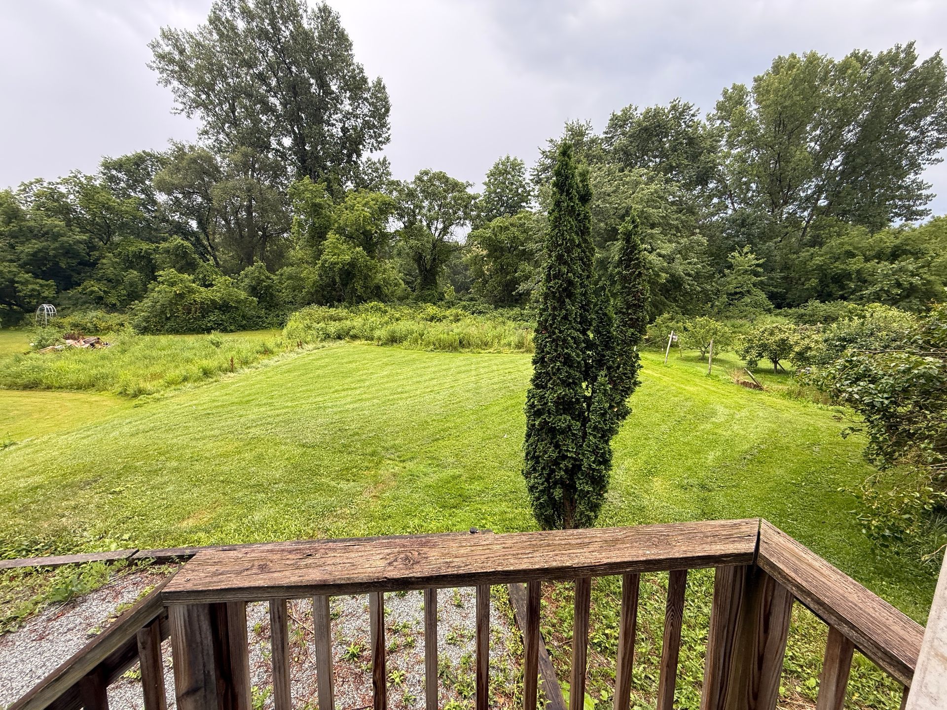 Wooden deck overlooking a lush green field and tall trees under an overcast sky