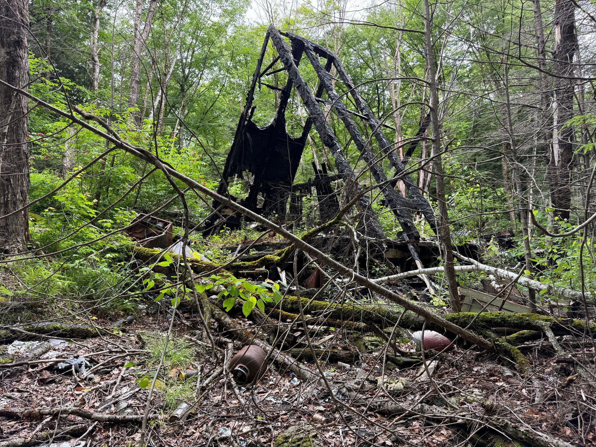Burned cabin frame and fallen branches in a wooded forest clearing