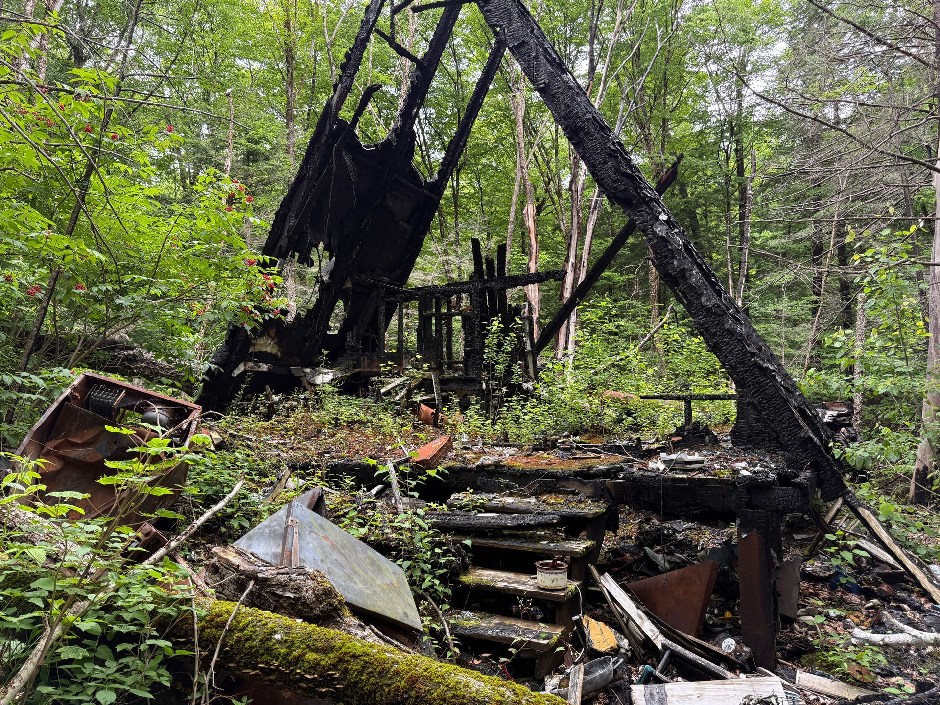 Burned-out wooden cabin ruins in a green forest