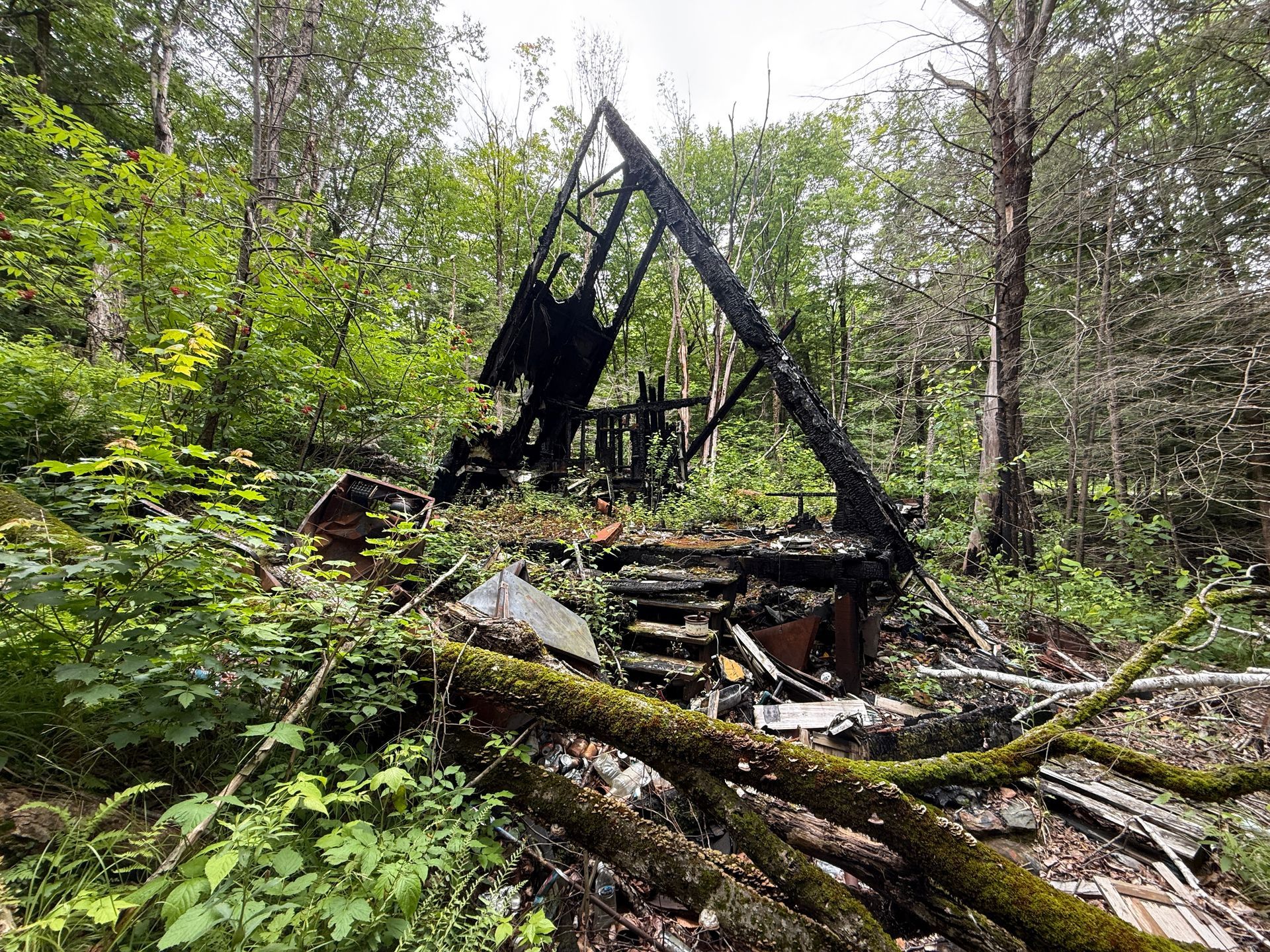 Burned cabin remains in a green forest, with a charred triangular frame amid fallen logs.