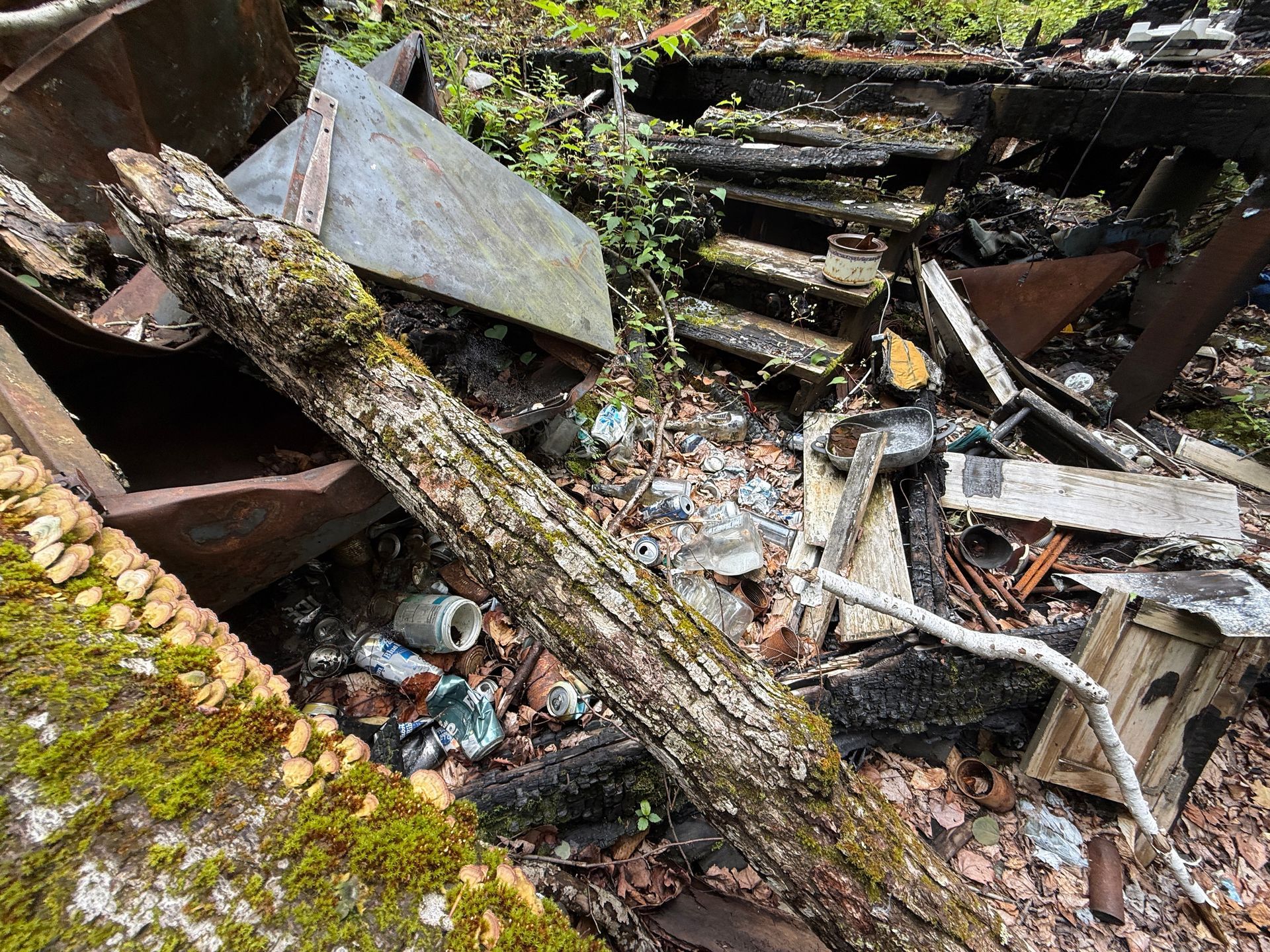 Collapsed wooden debris and moss-covered rubble in an outdoor ruin