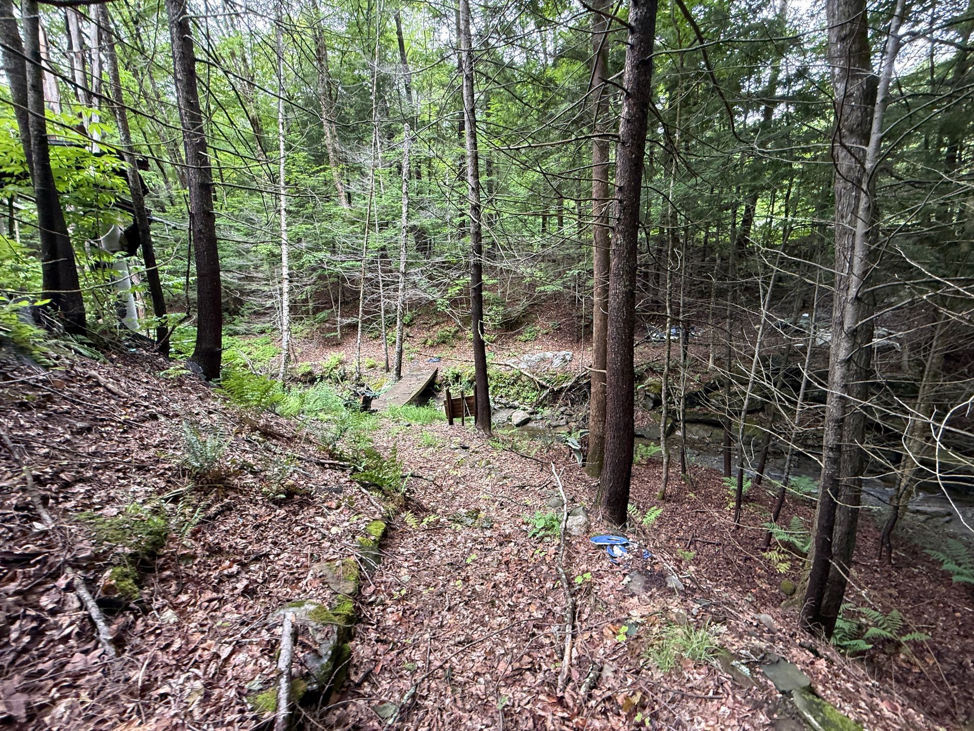 Wooded trail with leaf-covered ground, trees, and a small blue marker on a hillside