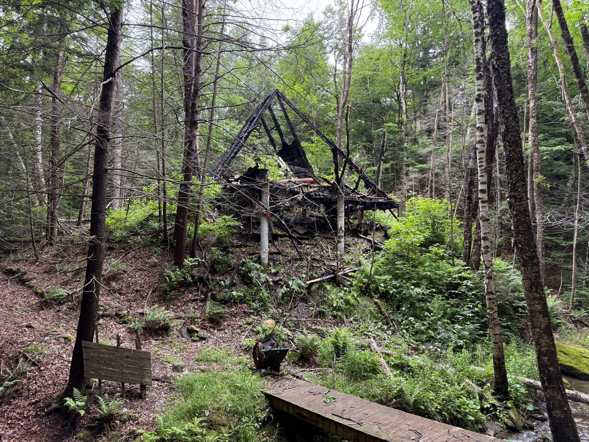 A forest clearing with a small wooden structure or cabin remains on a hillside among trees and greenery