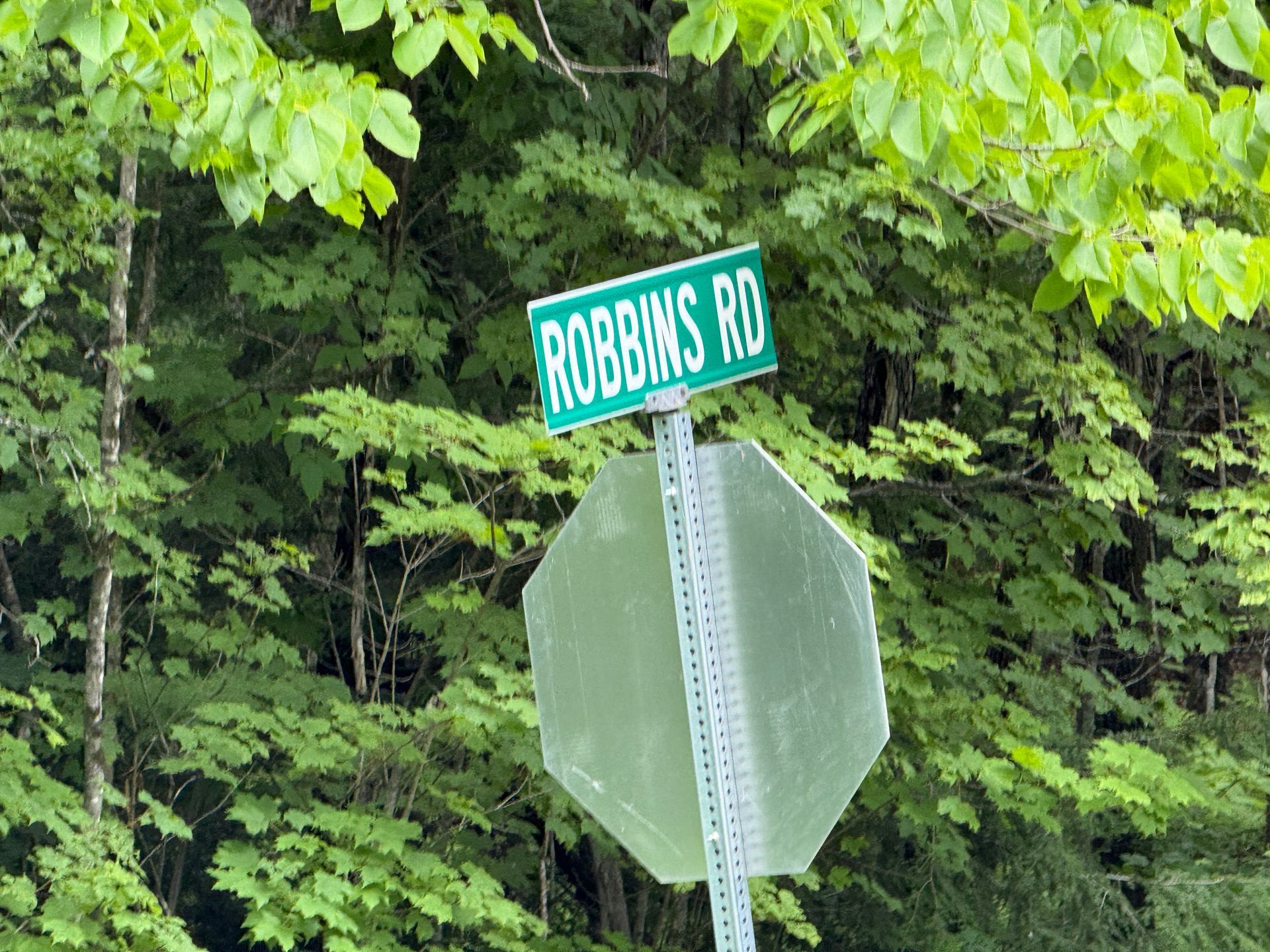 Green street sign reading “Robbins Rd” beside a stop sign, surrounded by trees.