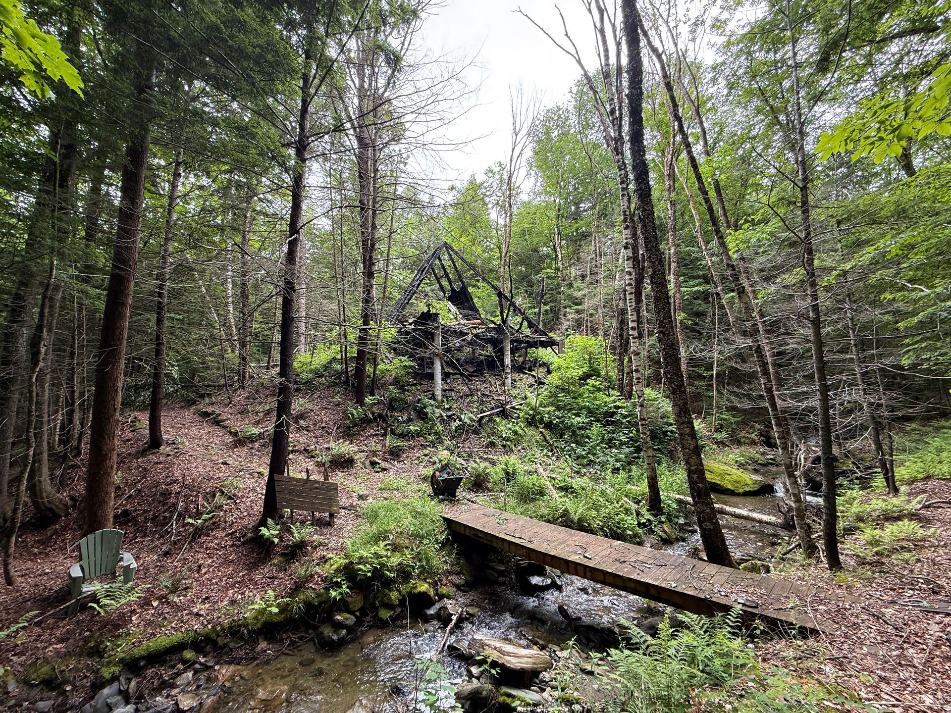 Forest scene with a small stream, wooden footbridge, and tall trees on a rocky hillside