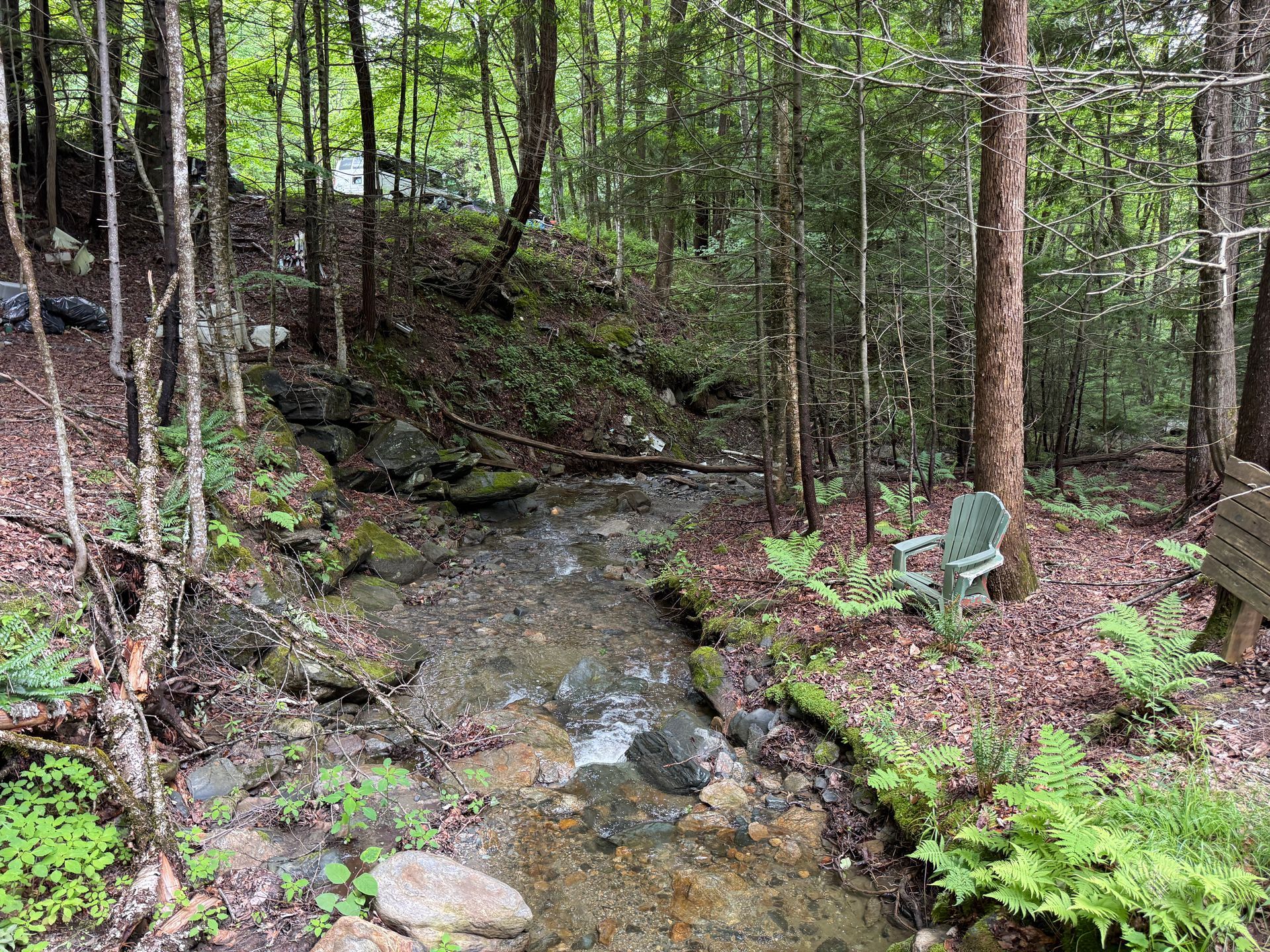 Rocky forest stream flowing through dense green woods with ferns and a small chair on the right