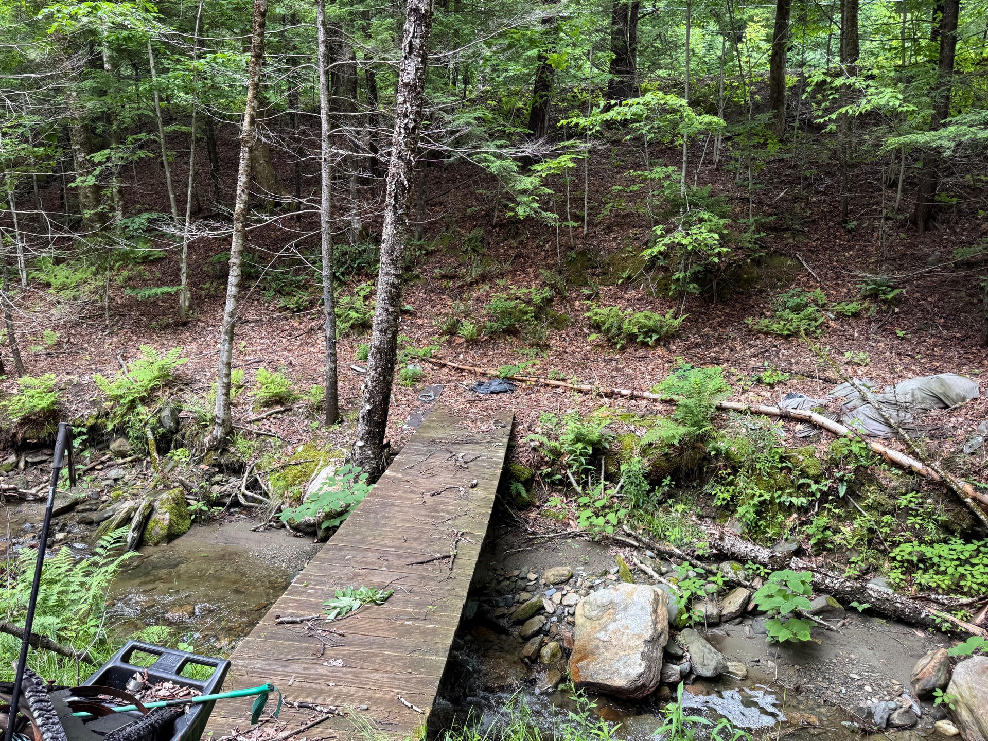 Narrow wooden footbridge over a rocky creek in a green forest clearing