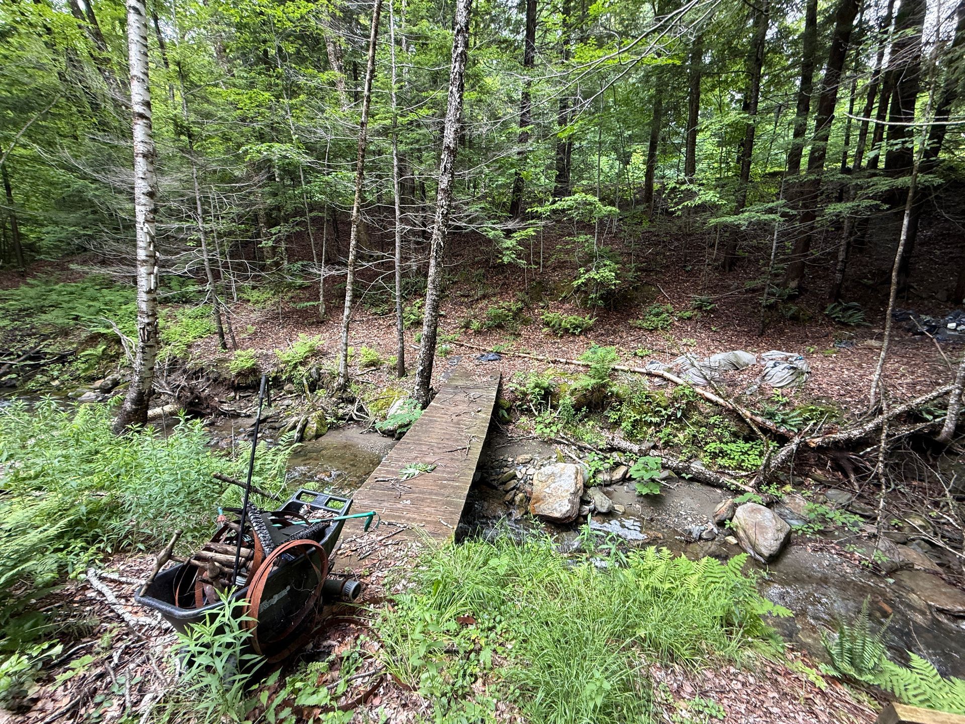 Wooden footbridge over a rocky creek in a green forest, with garden tools at the left bank.
