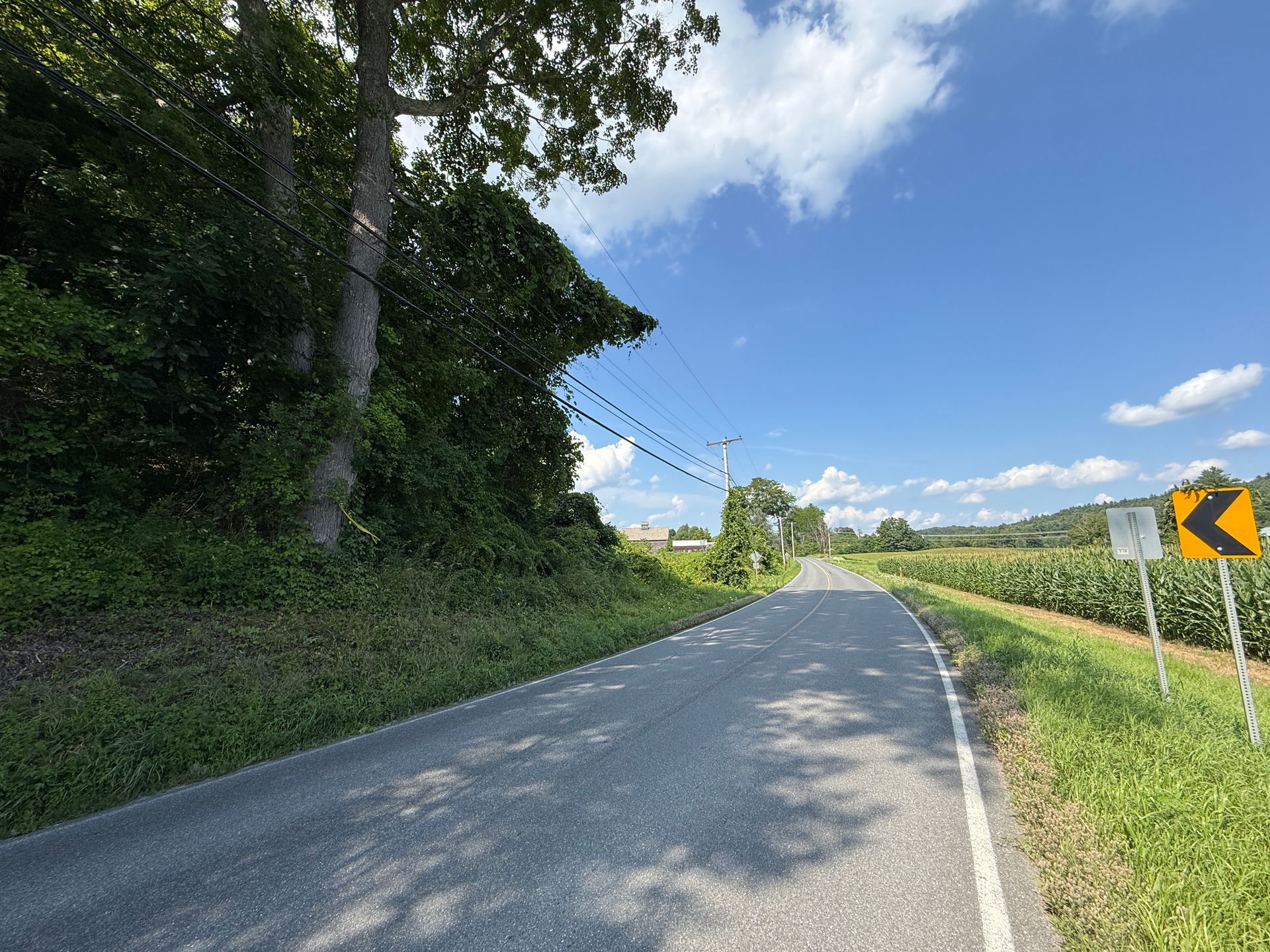 Curving rural road with trees, grass, and a yellow chevron sign under a blue sky
