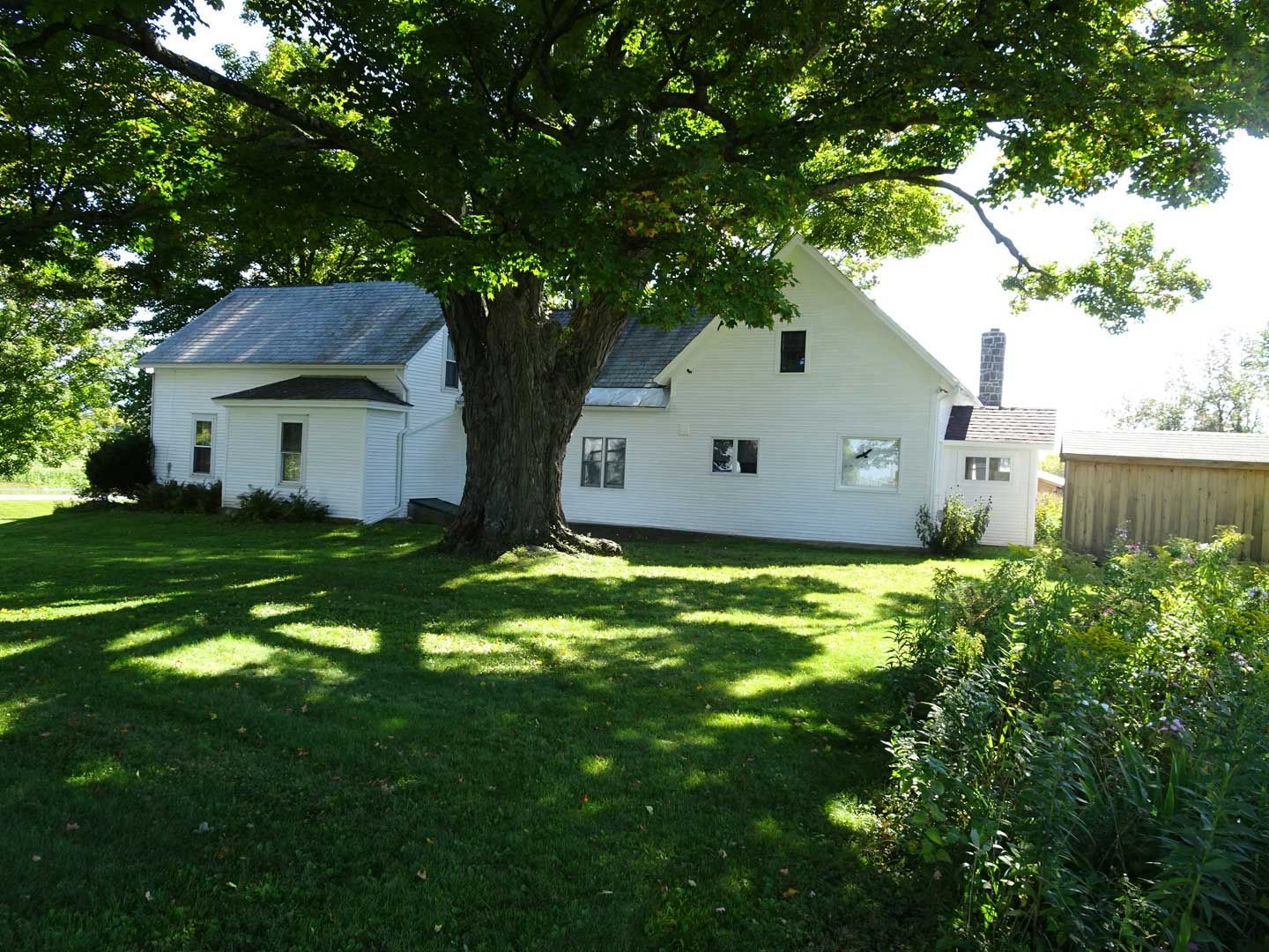 White farmhouse with a large tree shading the lawn.