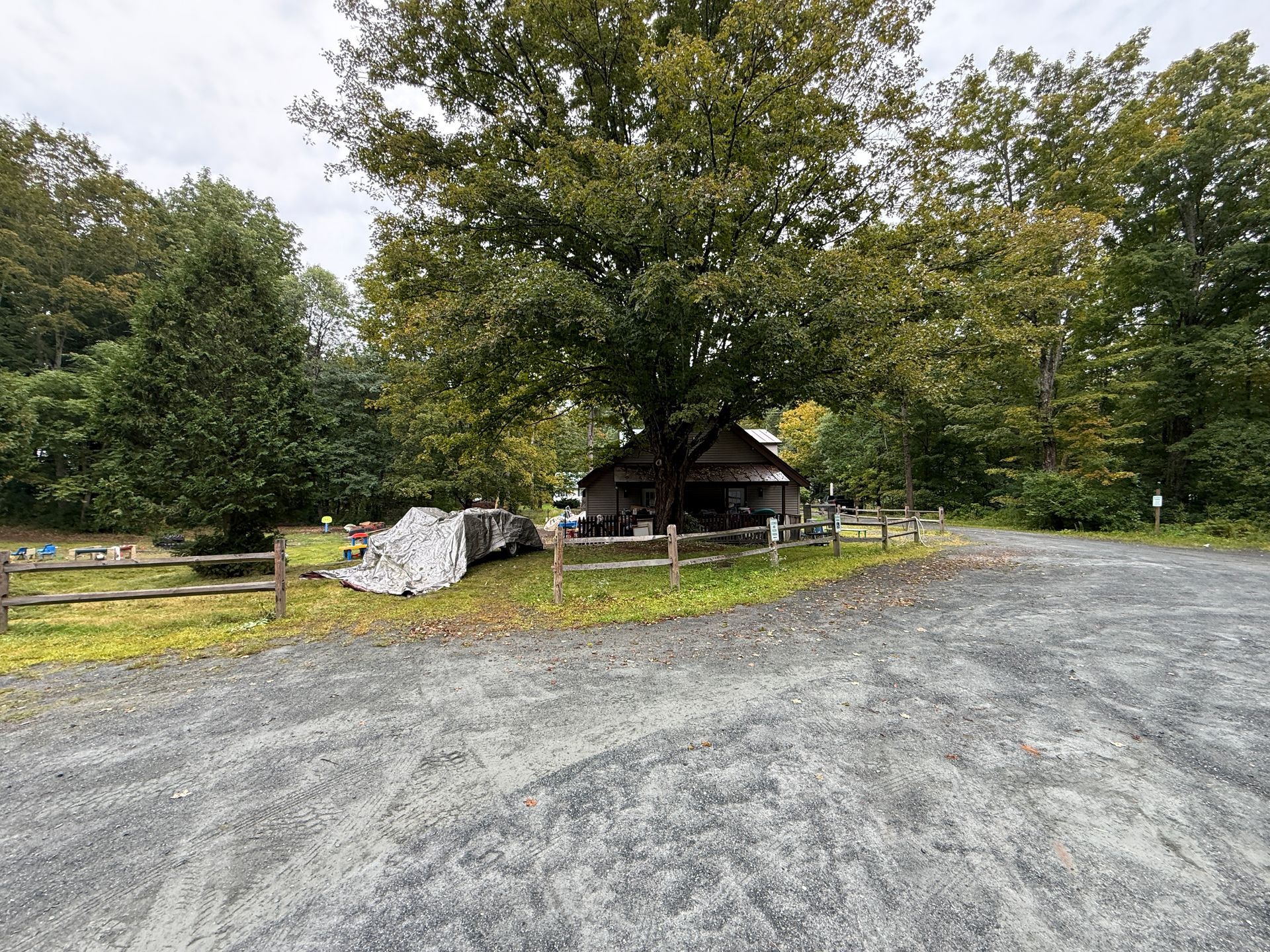 Gravel road beside large trees, a small cabin, and a fenced area in a wooded park.