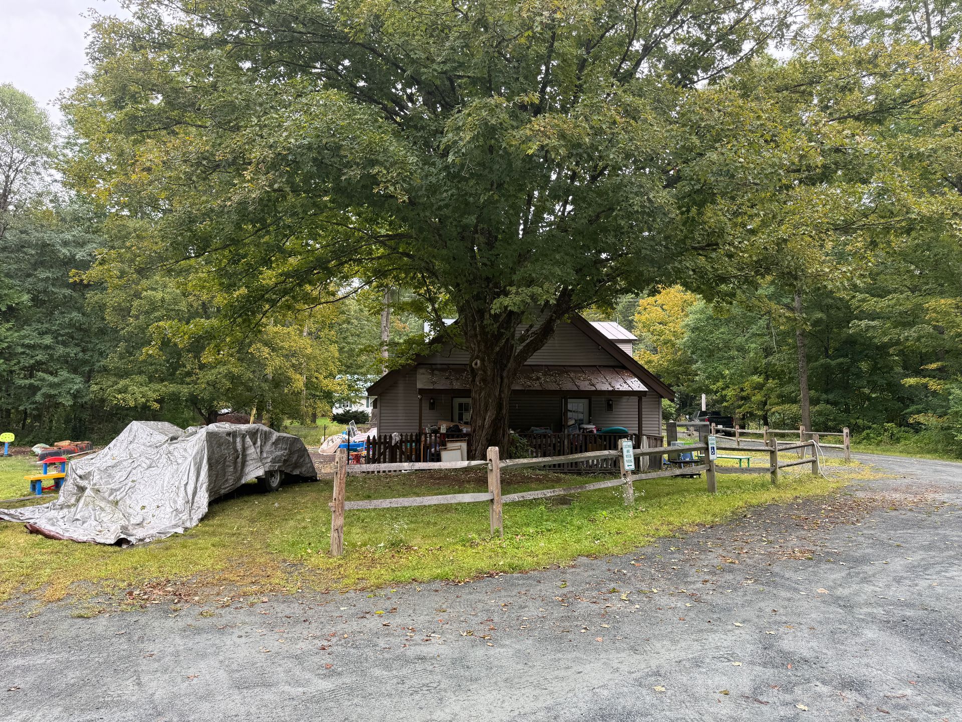 Small cabin under a large tree beside a gravel path, with rocks and a wooden fence in a grassy area.