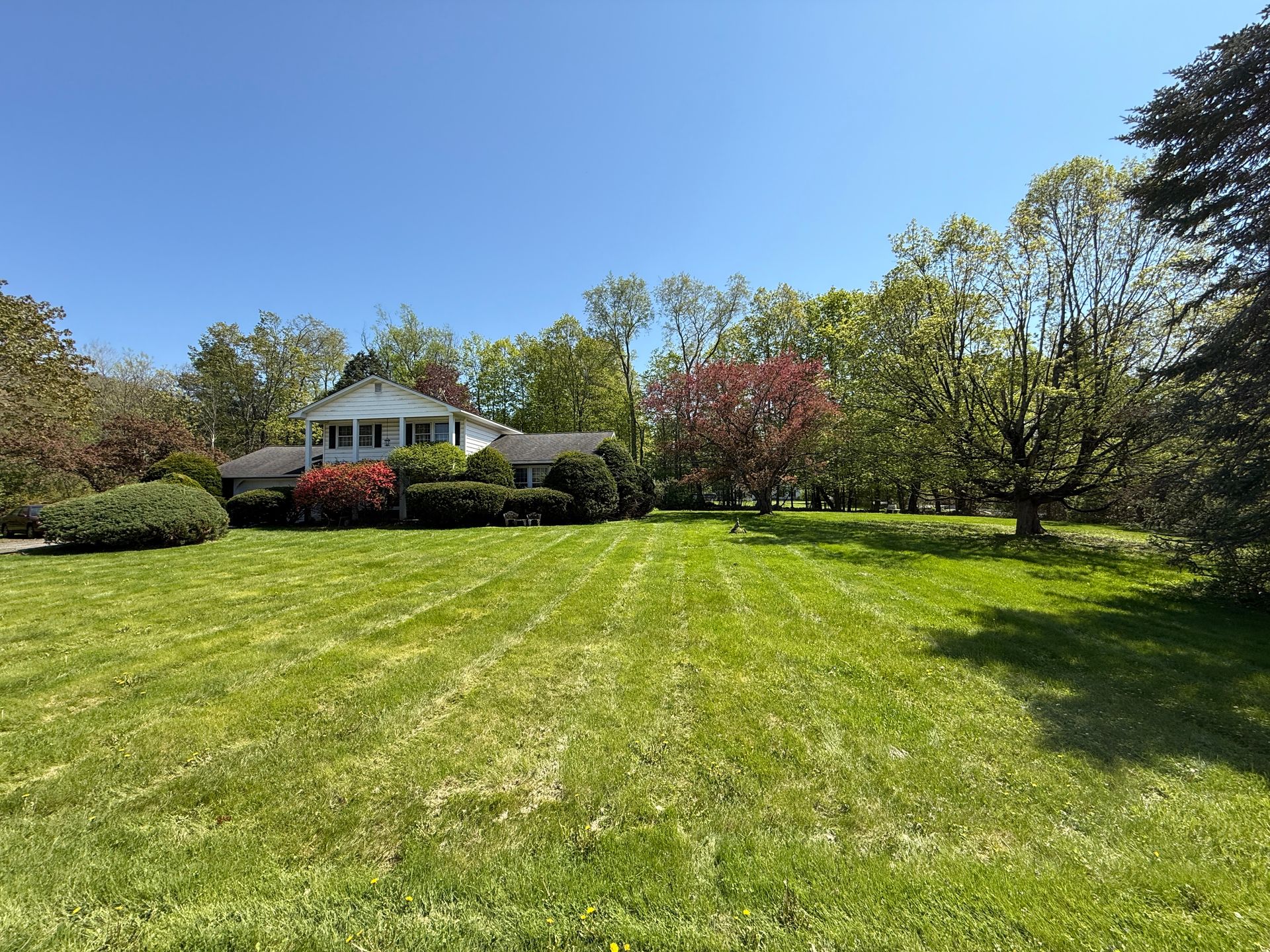 House with a white exterior, surrounded by green grass and trees under a blue sky.