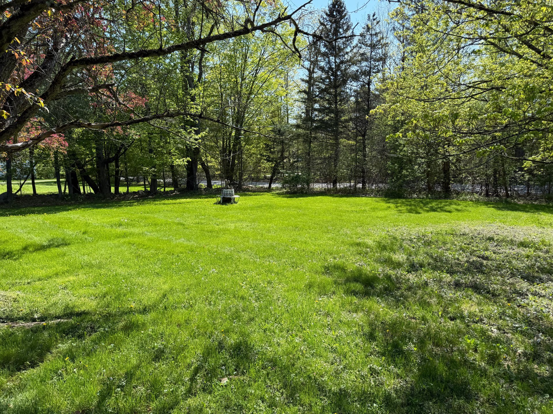 Green field with trees.