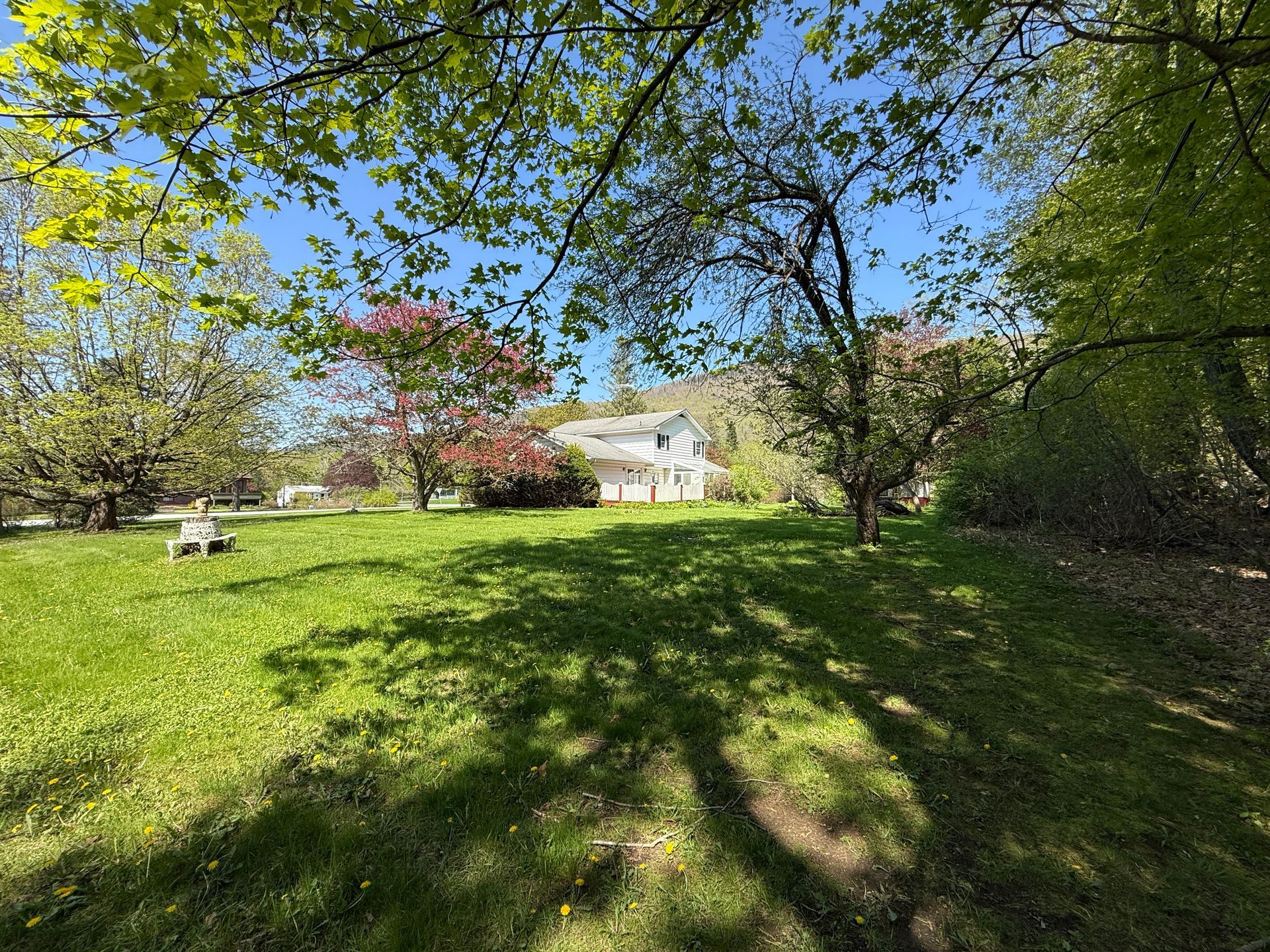 Lush green lawn with dappled sunlight, trees framing a white house on a sunny day.