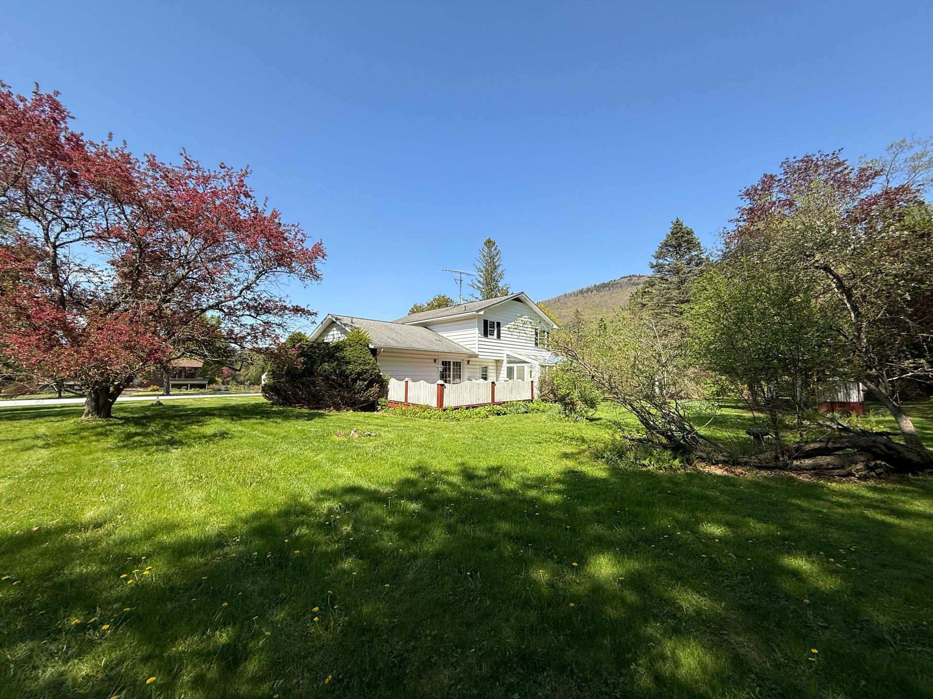White house with green yard, red and green trees, and a mountain in the background under a blue sky.