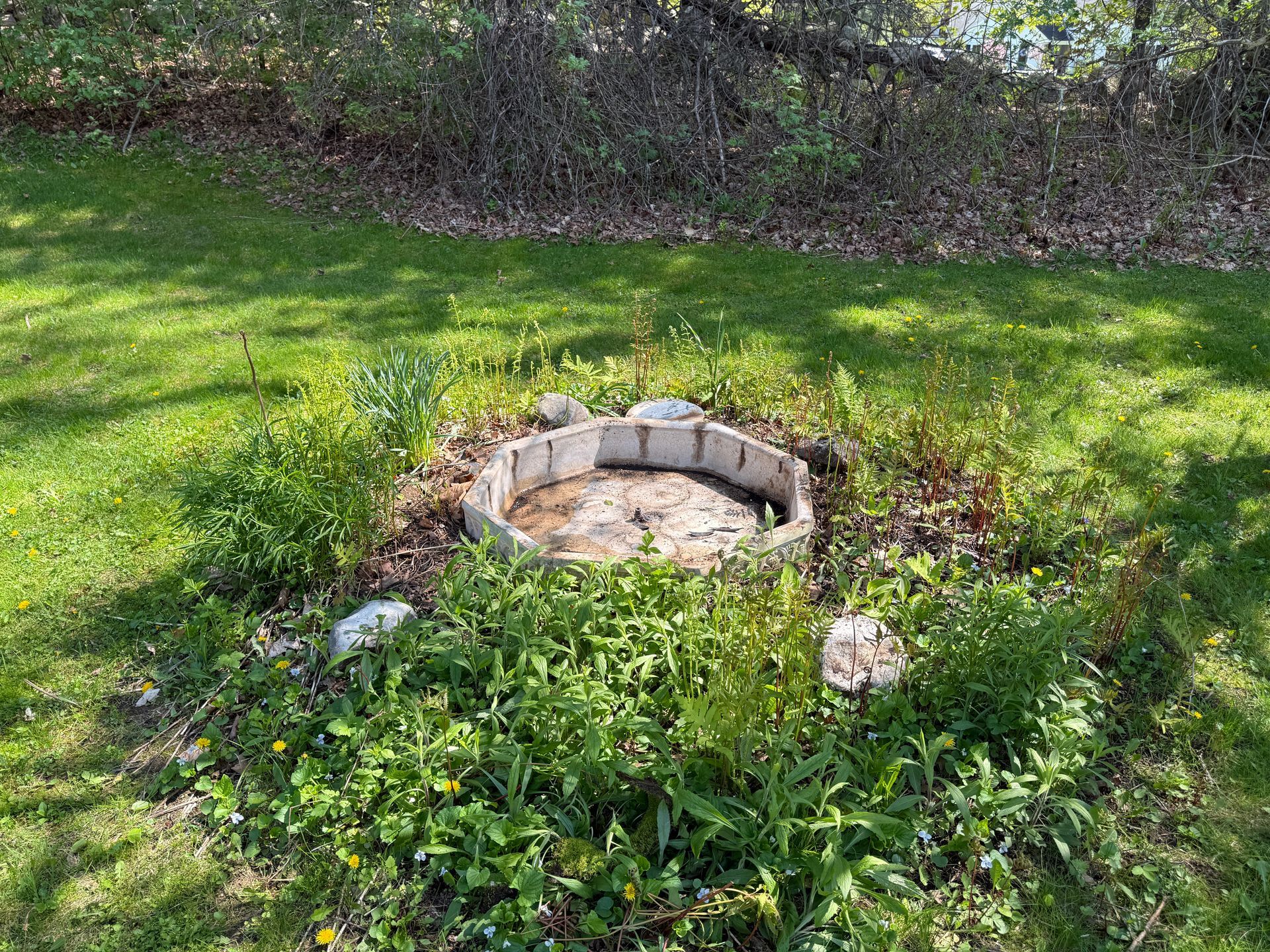 A fire pit in a grassy yard, surrounded by green plants and small rocks.
