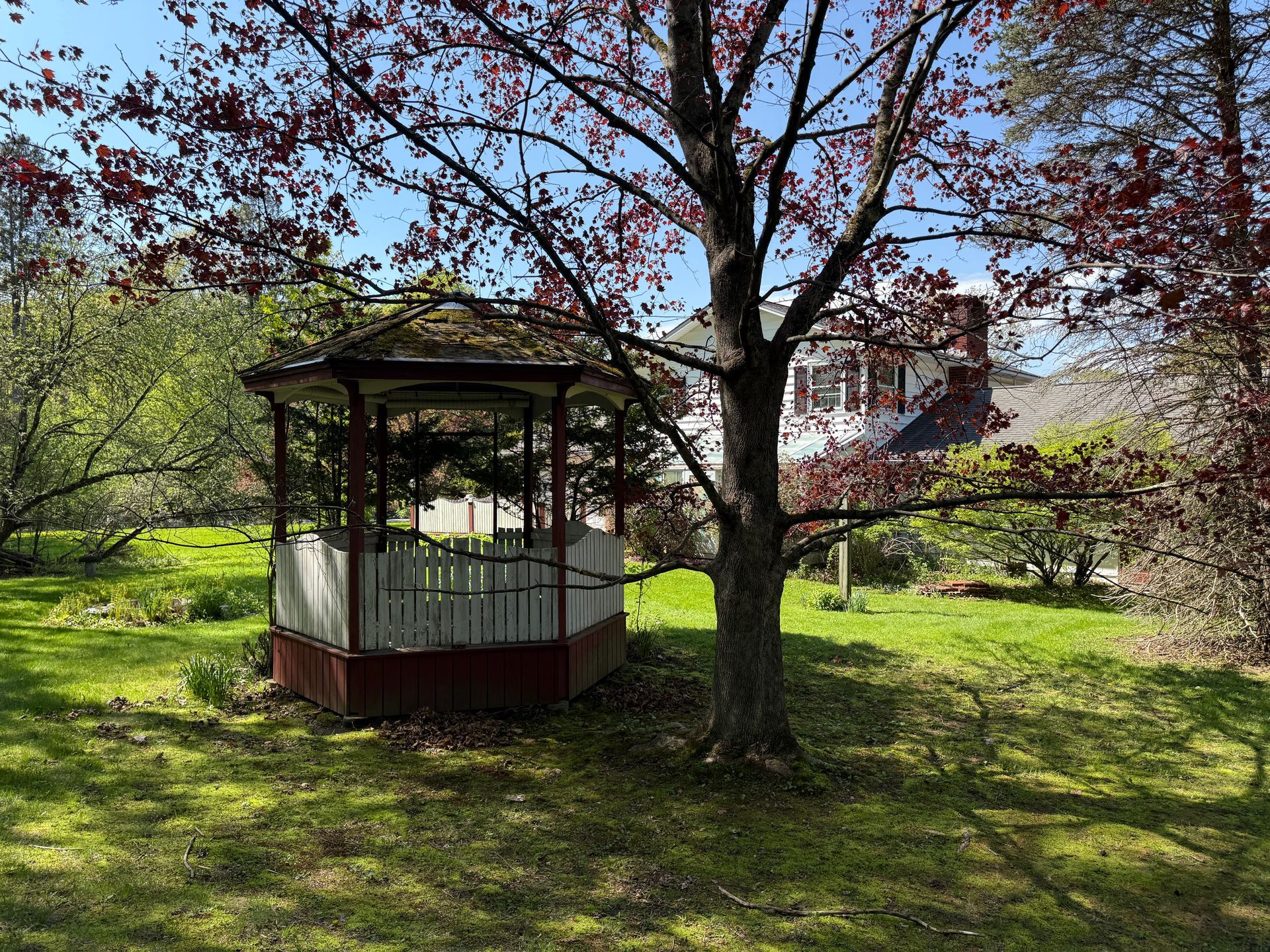 Gazebo in a grassy yard, surrounded by trees with red blossoms. A white house is in the background.