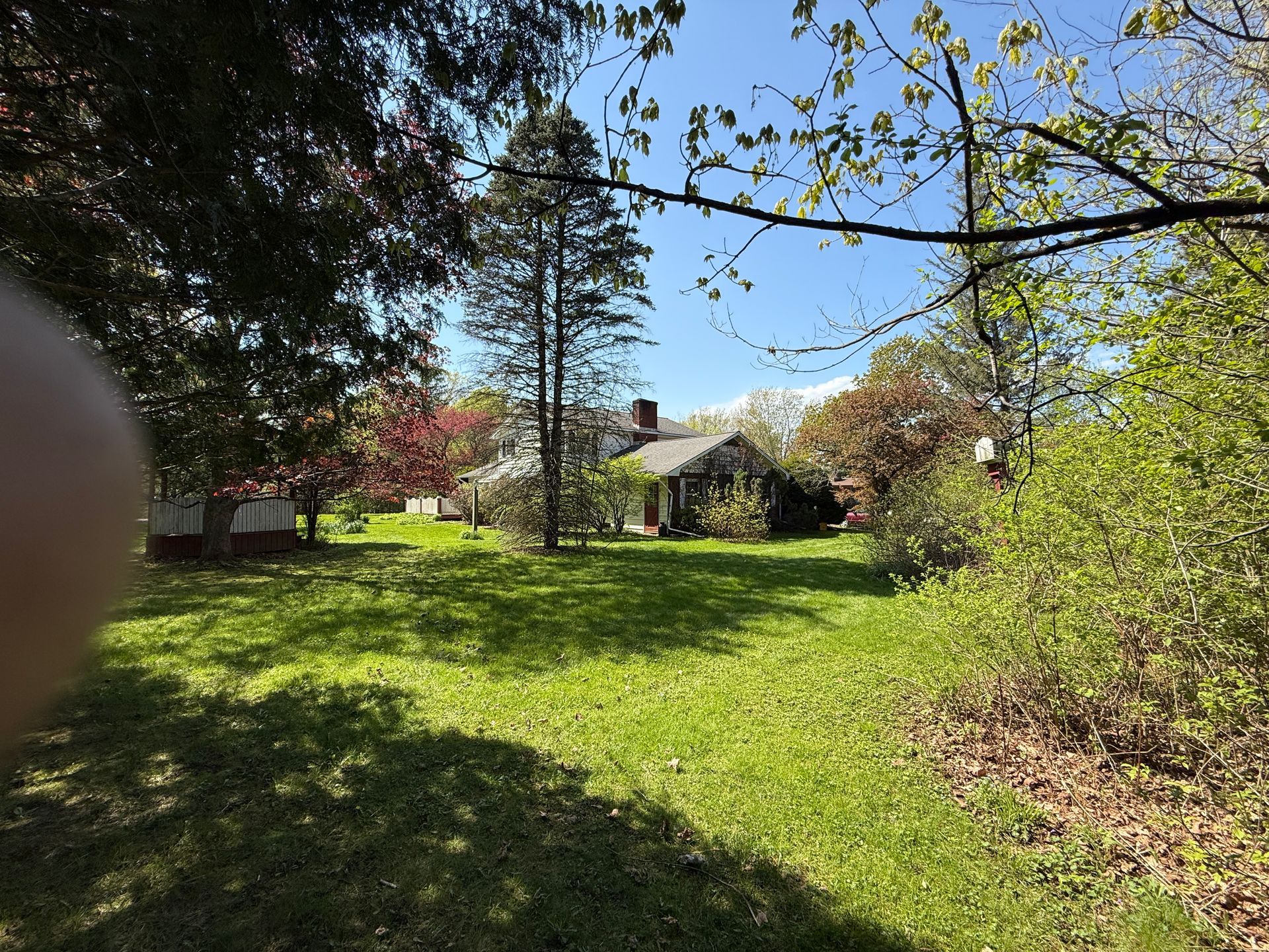 Grassy yard with a house and trees under a bright blue sky.