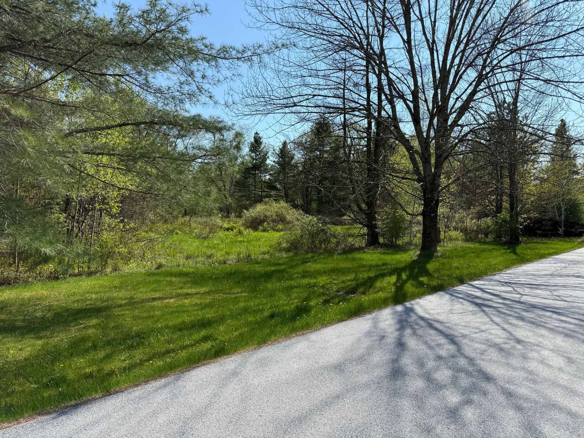 Grassy lawn beside a gravel road, leading to a wooded area under a blue sky.