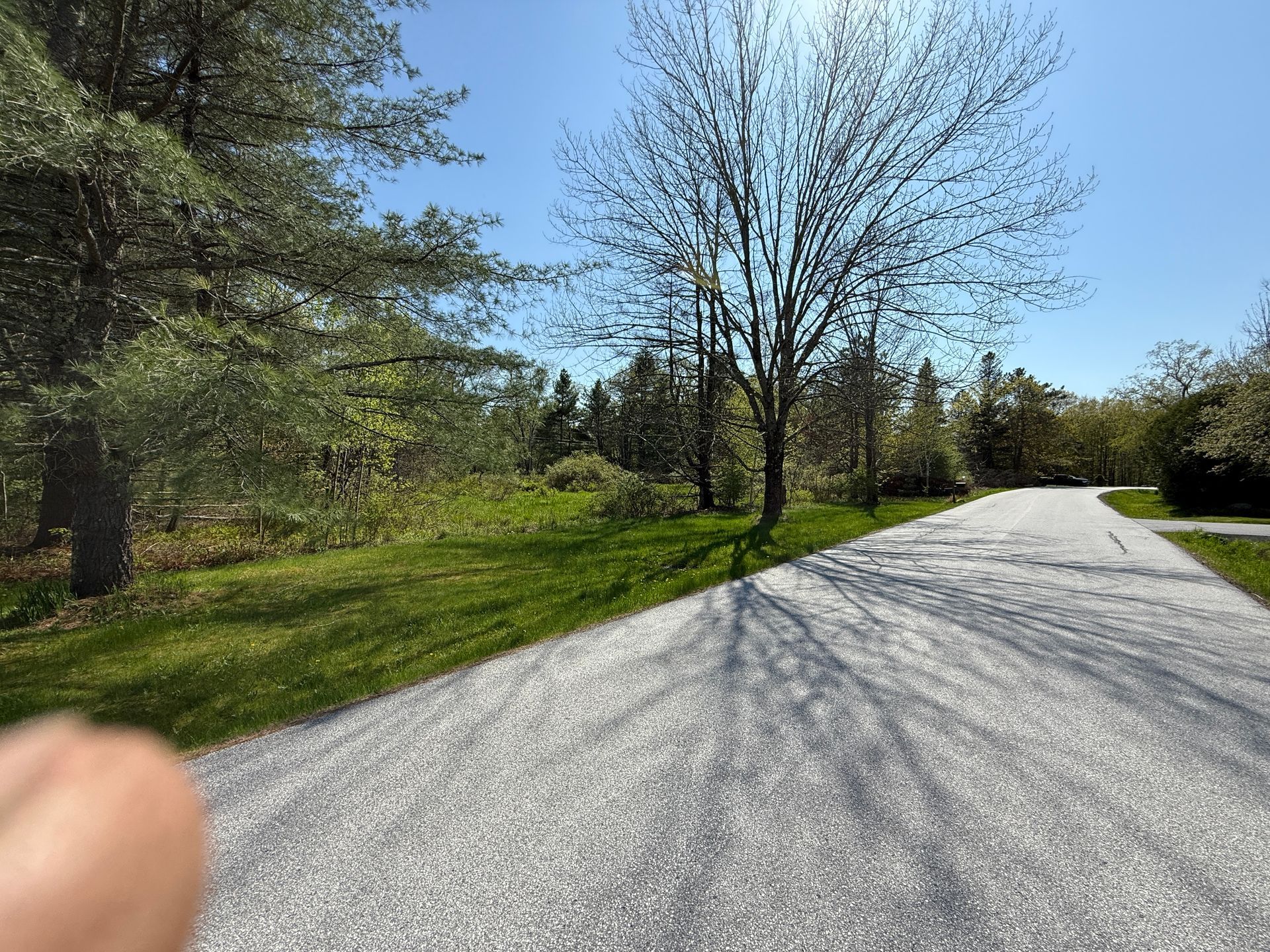 Gravel driveway curves past a grassy hill with trees and a sunny blue sky.