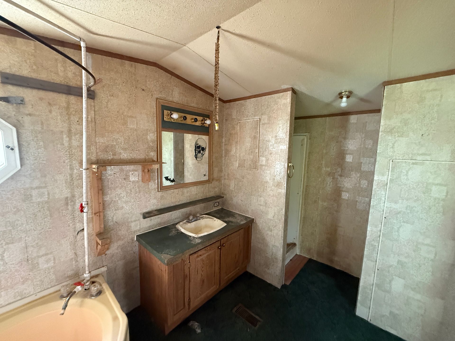 Bathroom interior with a vanity, shower, and tub; beige walls and green carpet.
