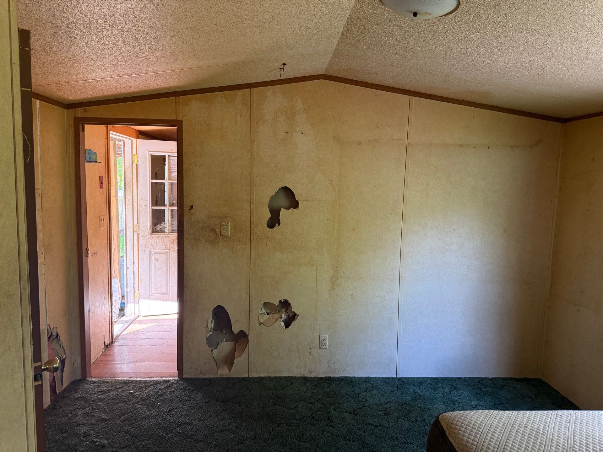 Interior room with walls and a doorway. Green carpet, white door.