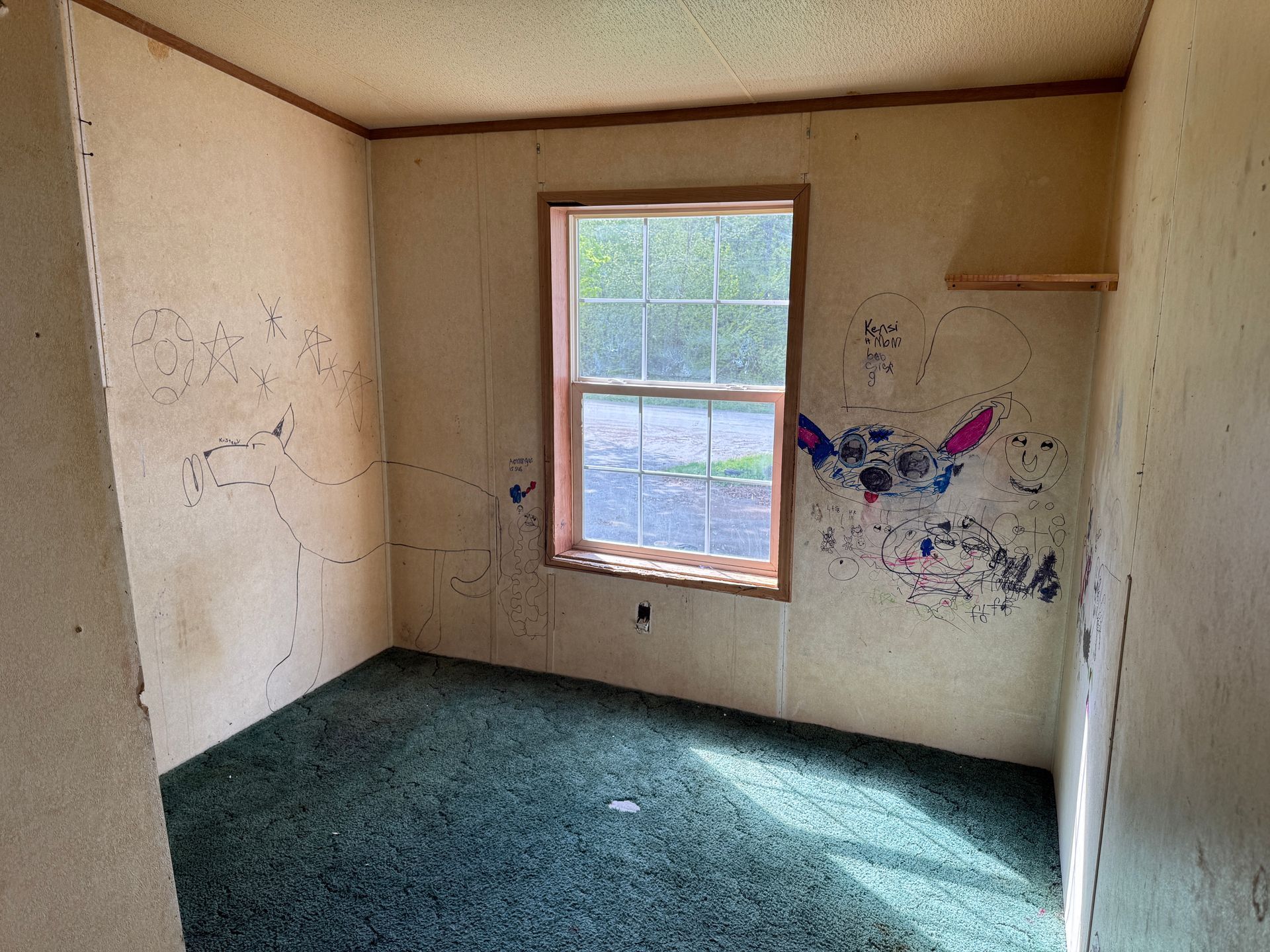 Empty room with green carpet, tan walls, window with light, and shelf.