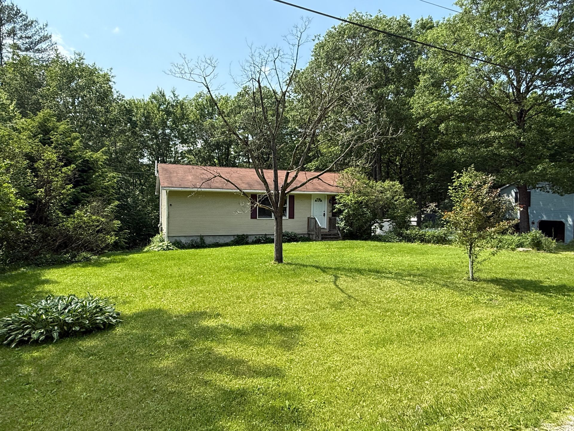 Small beige house with brown roof and green lawn, surrounded by trees.