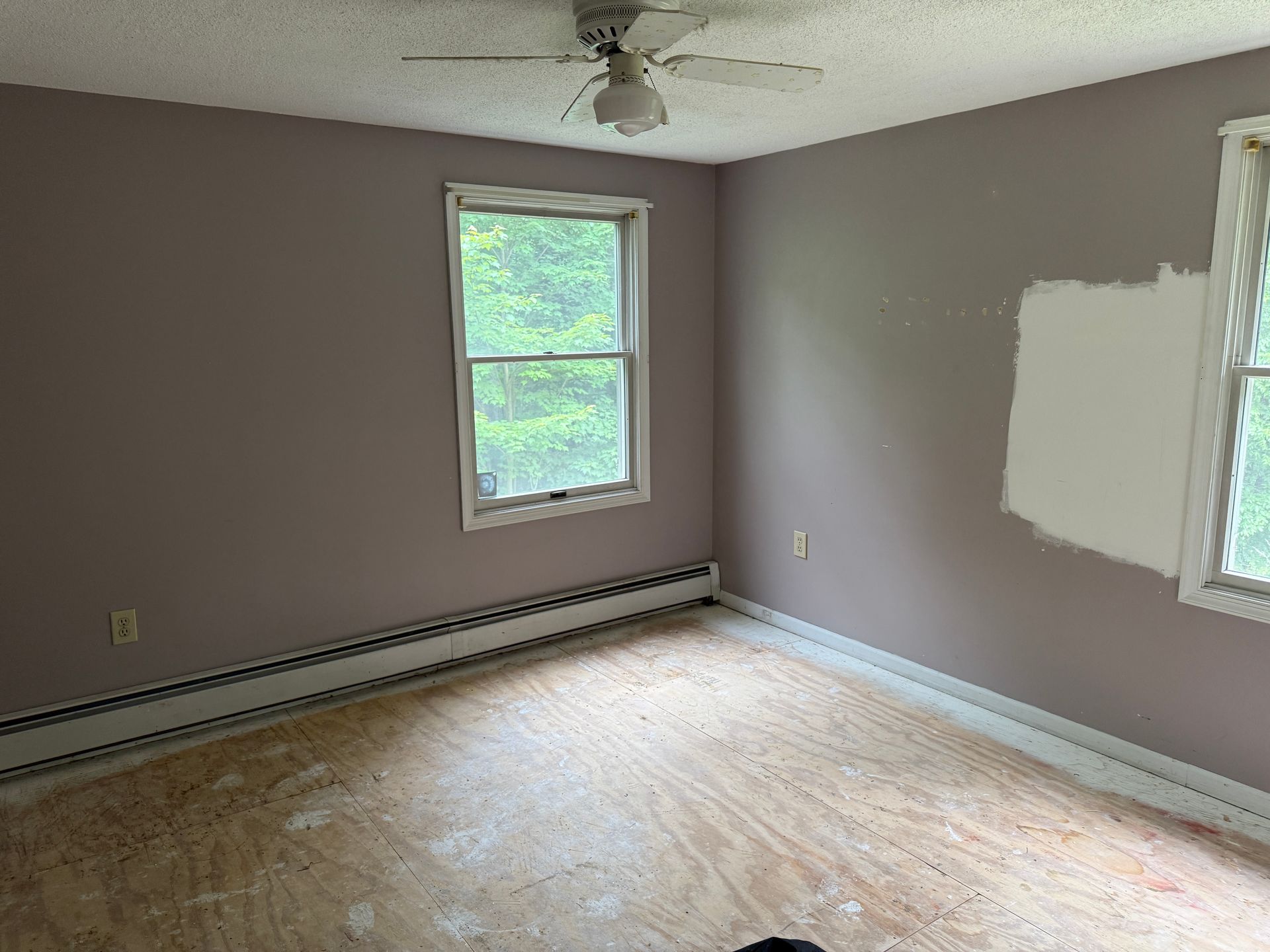 Empty room with mauve walls, two windows. A ceiling fan is visible.