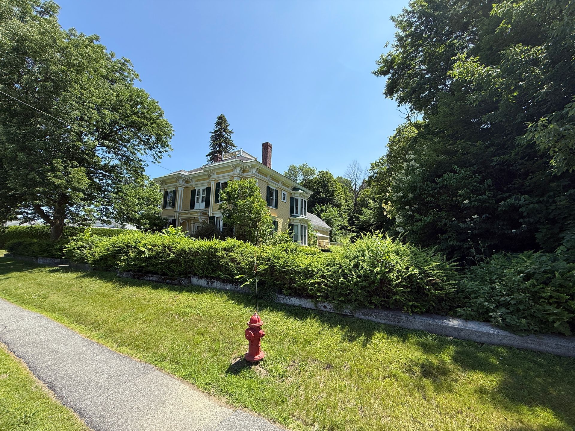 Yellow house with green shutters, behind a green hedge, fire hydrant in front, sunny day.