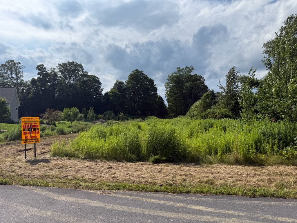 Vacant lot with tall grass, trees in the background, a 