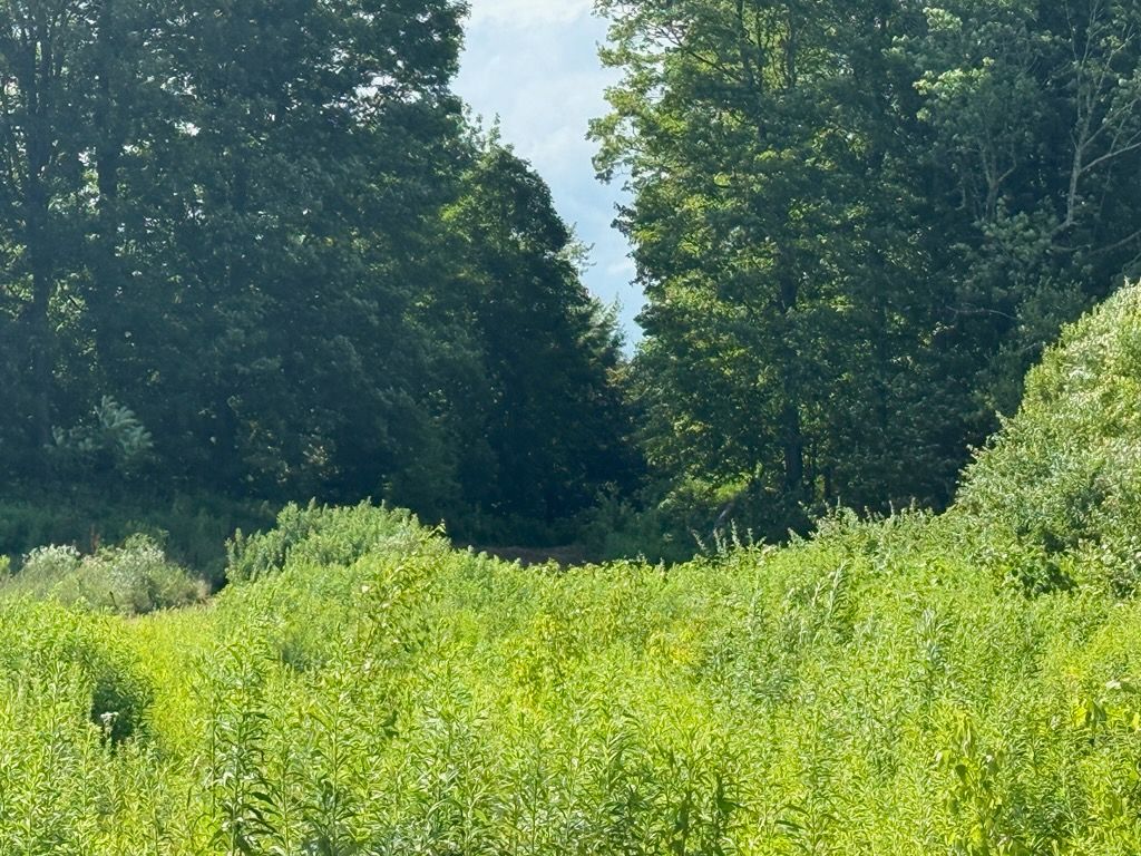 Green field leads to a wooded area with trees, under a partly cloudy sky.