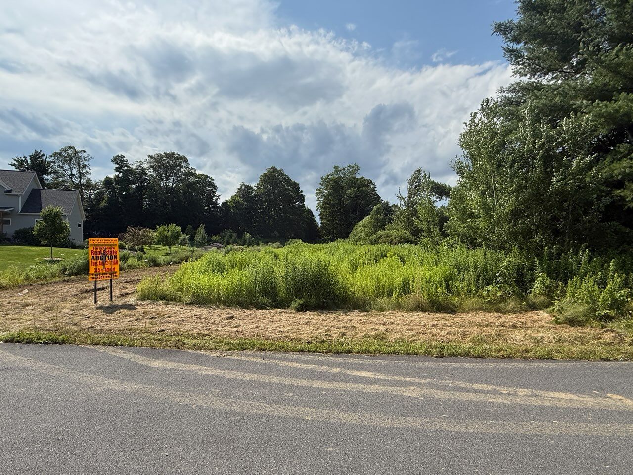 Vacant lot with tall weeds, sign, and trees under a cloudy sky.