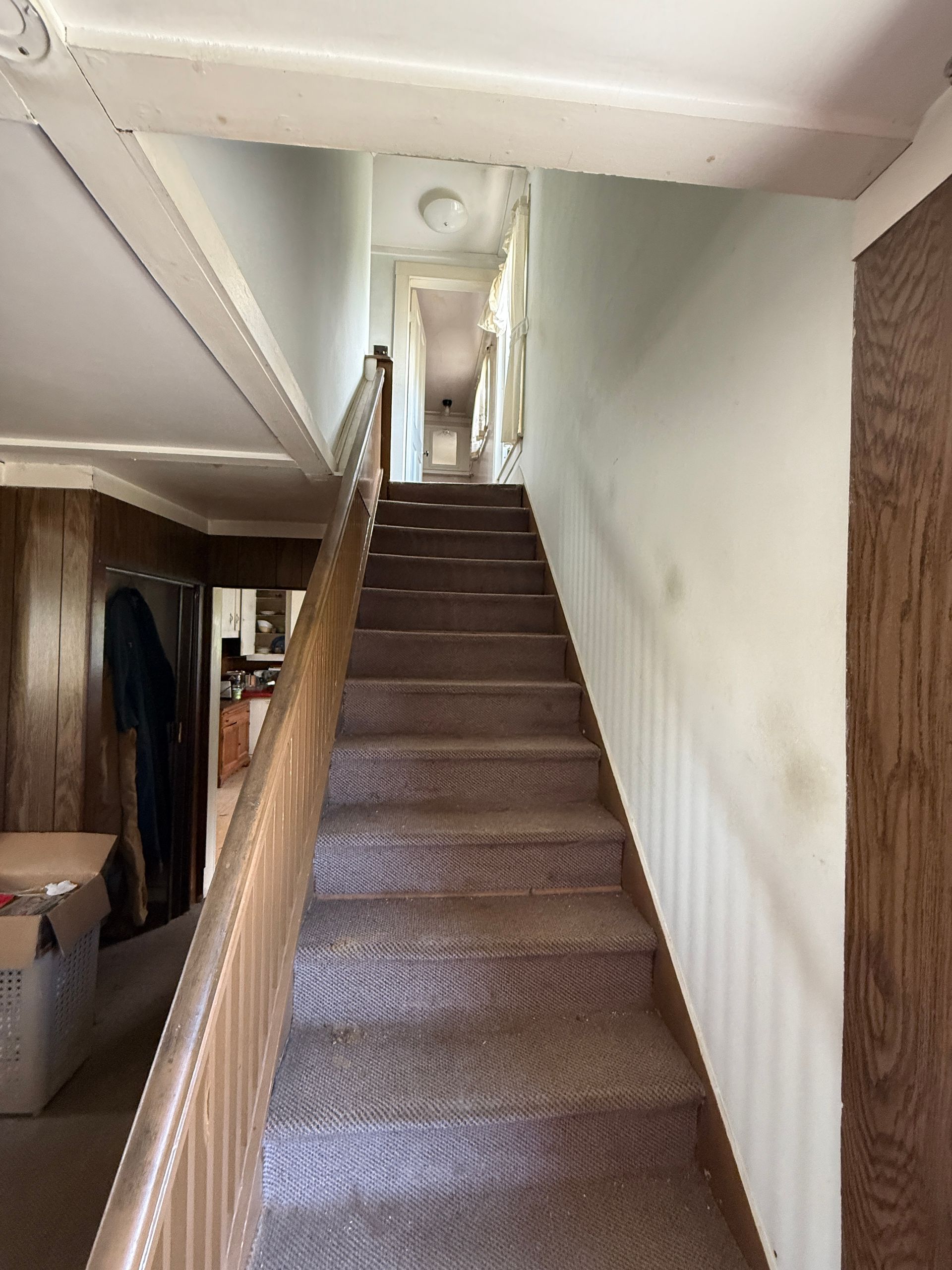 Staircase with carpeted steps and a wooden handrail leading upwards.