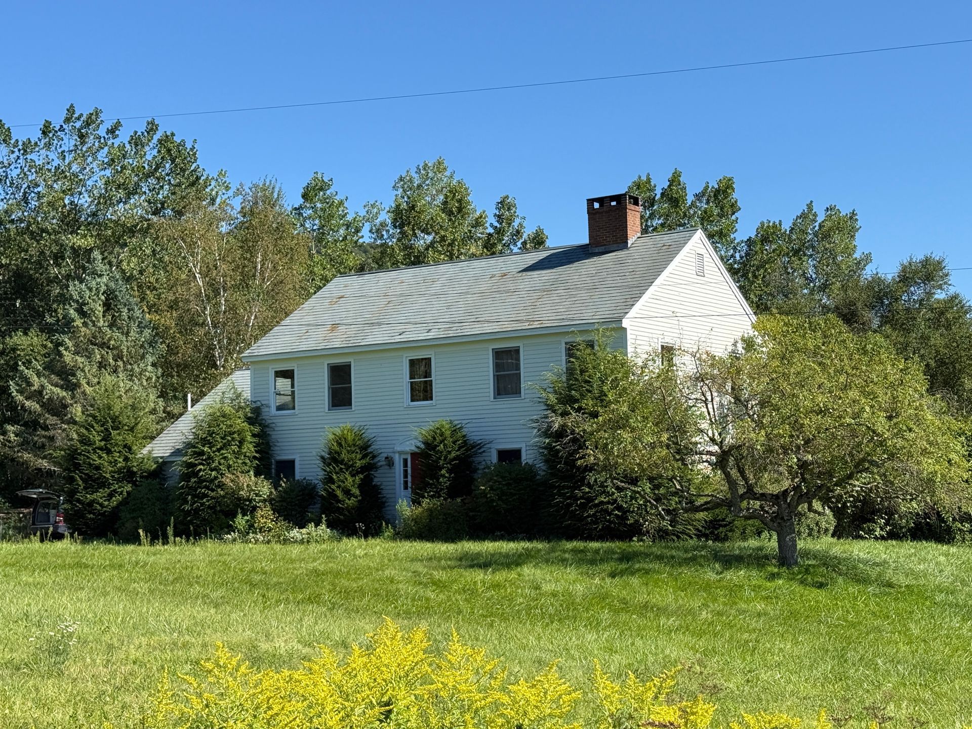 White farmhouse with gray roof, surrounded by green trees and yellow wildflowers, under a blue sky.